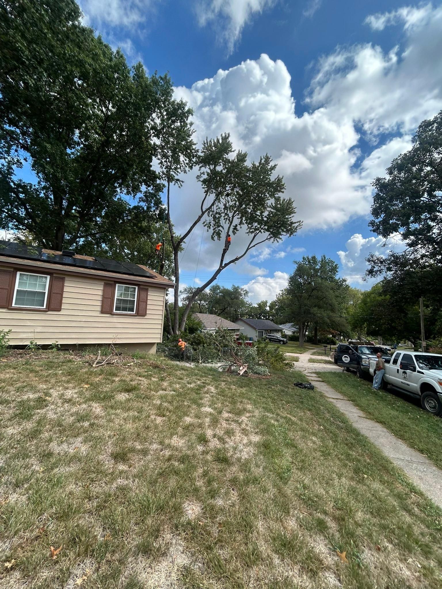 All Photos for Cross Family Tree Service in Kearney, MO