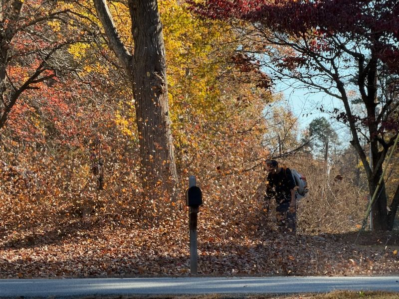  for Reiser Lawn Service in Denver, North Carolina