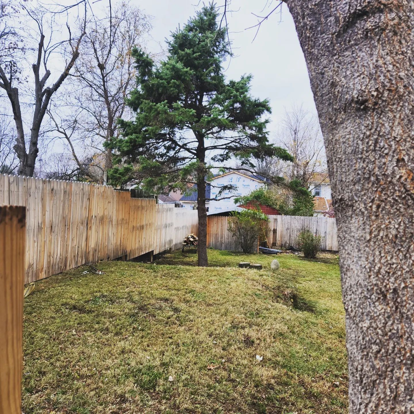  for Timber Ninja Service in Lexington, KY