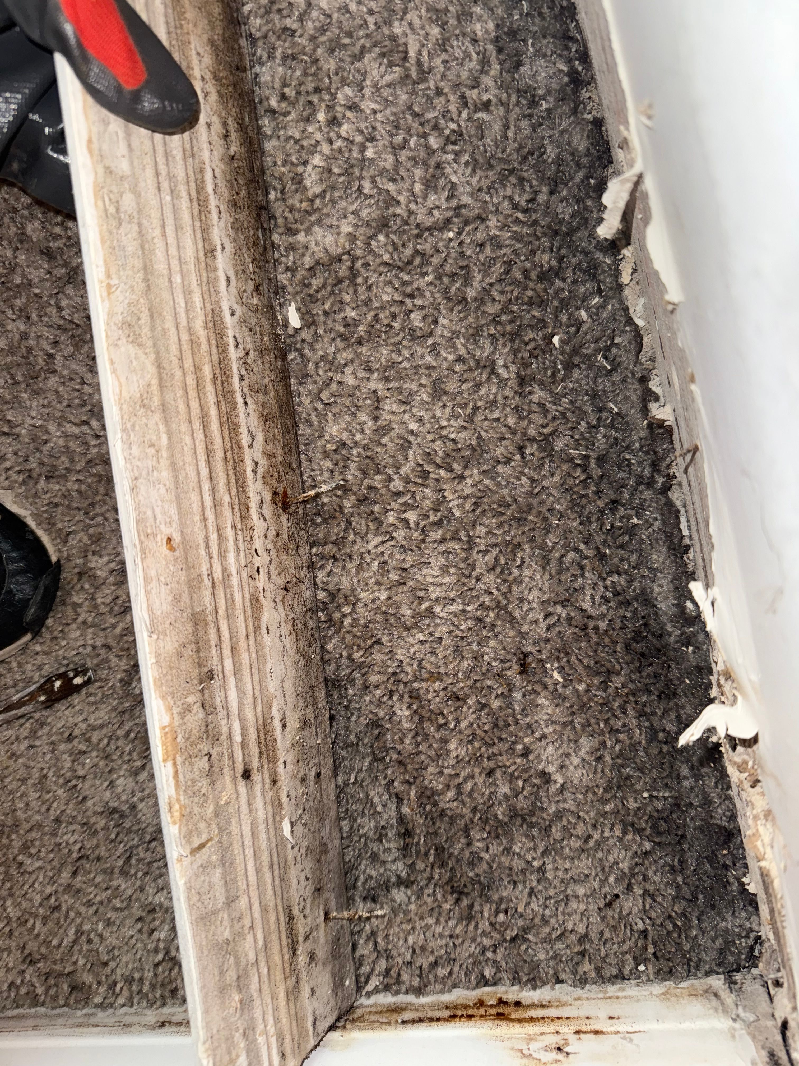  for N&D Restoration Services When Disaster Strikes, We Come In in Cape Coral,  FL