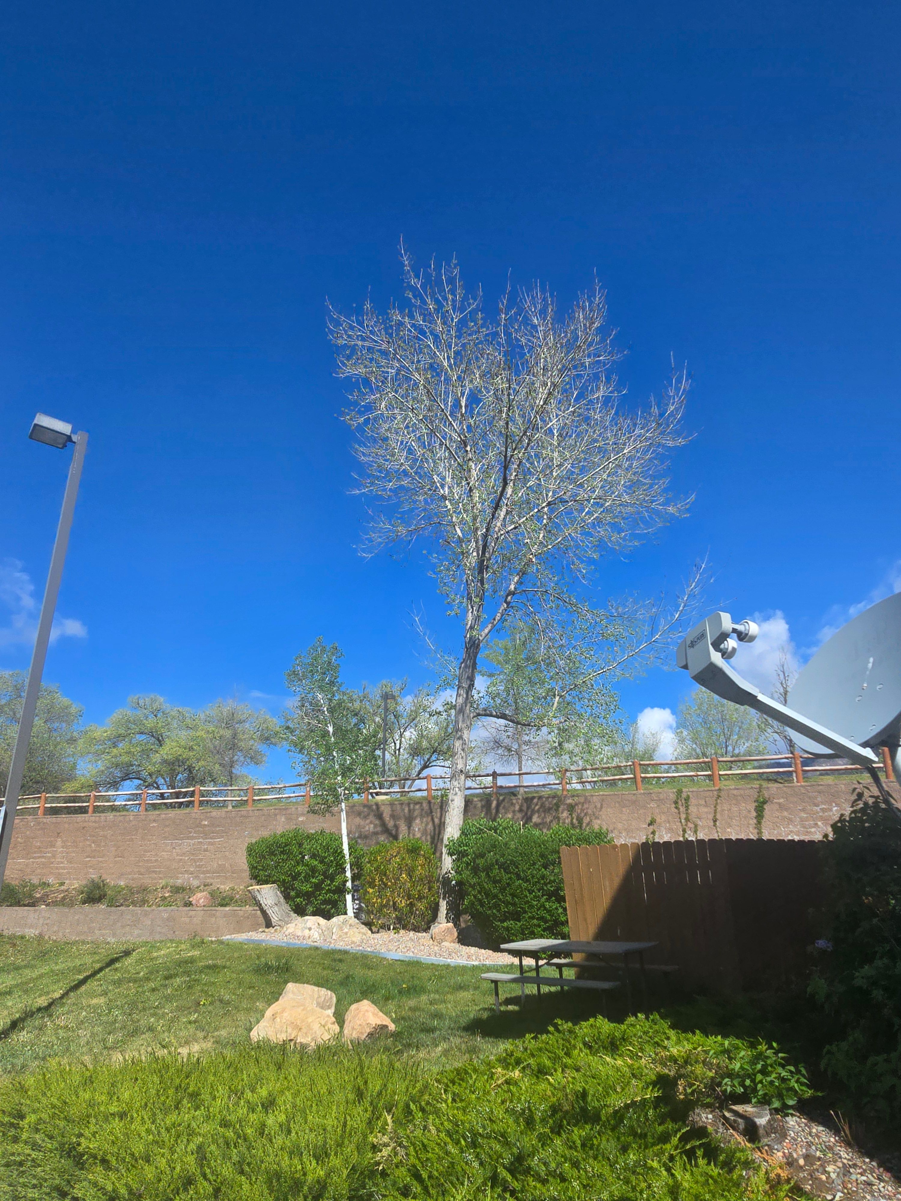 All Photos for LRS: Landscape, Rescue, Snow in Silt, CO