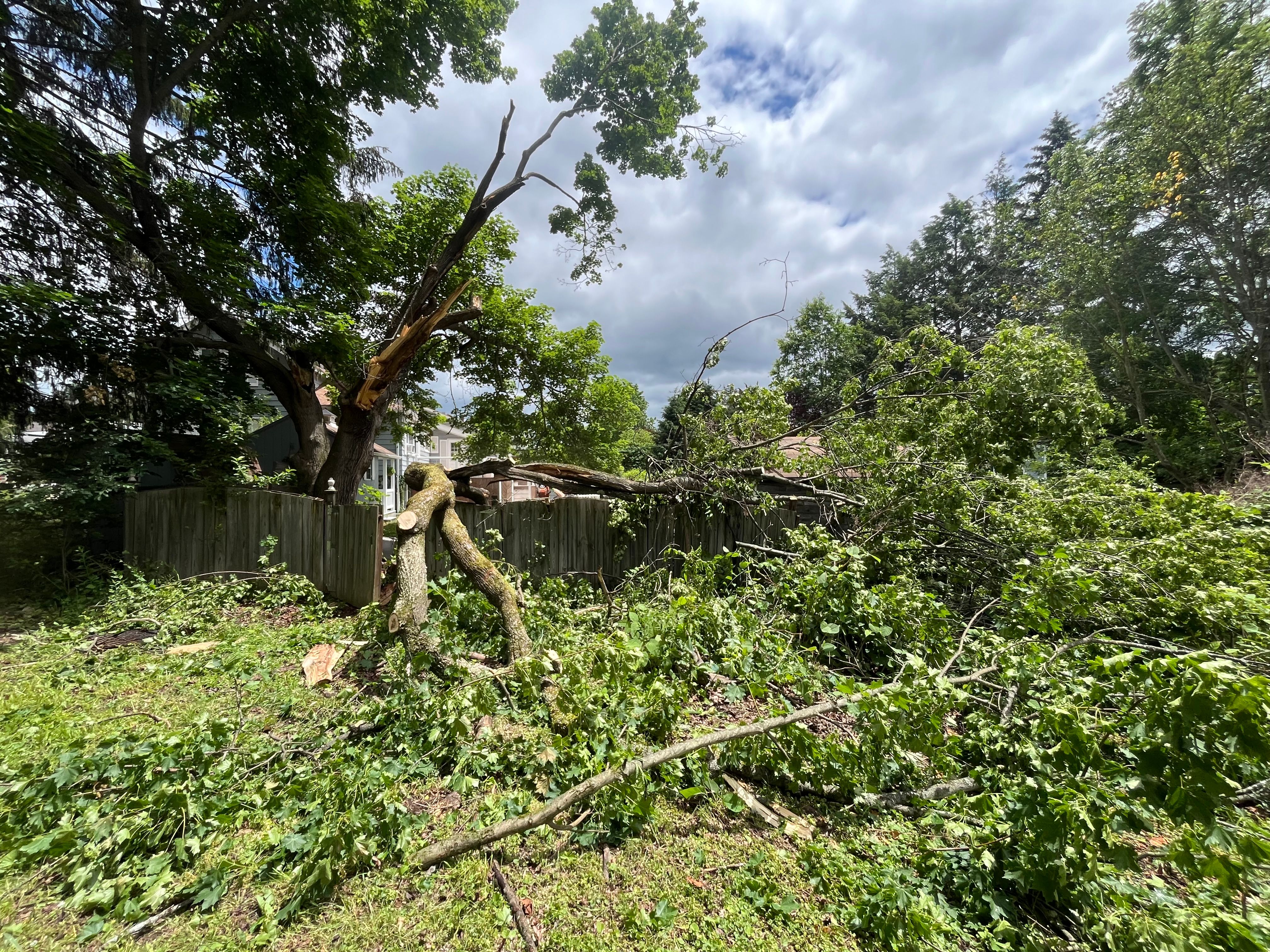All Photos for Licensed to Cut Tree Service in Athens, PA