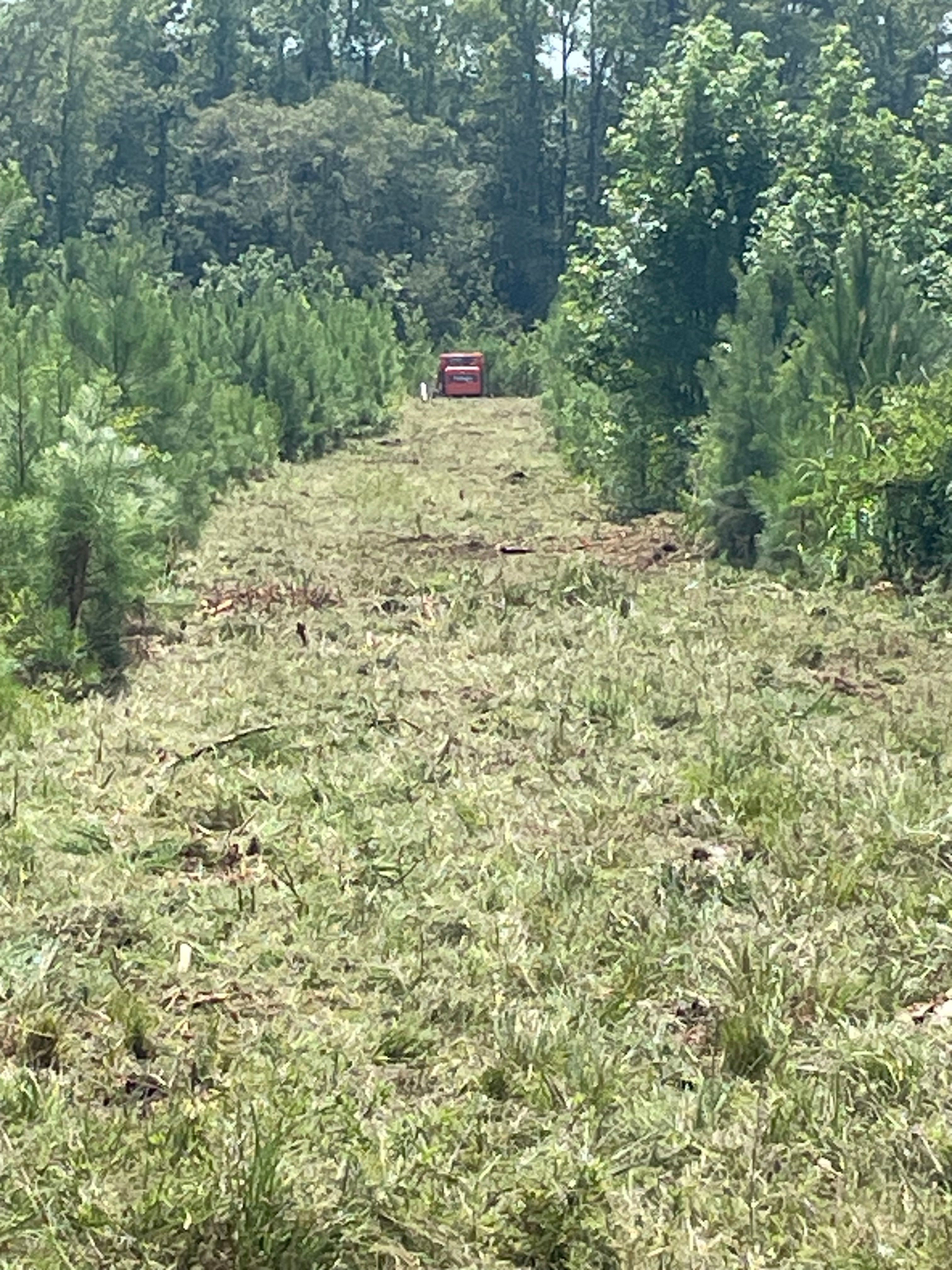  for JA Clearing LLC in Pageland, SC