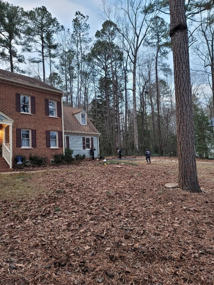  for Integrity Tree and Landscaping in Lynchburg, VA