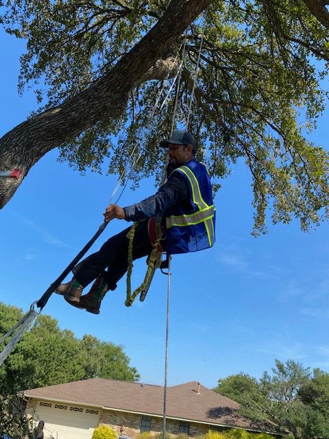  for Valadez Landscaping LLC in Fort Worth, TX