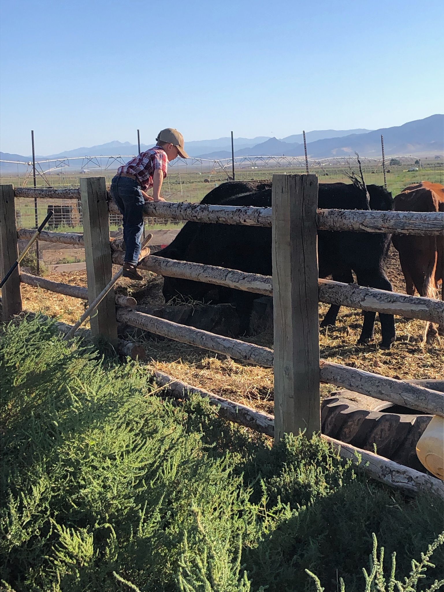 Fences for Burton Fencing in Parowan, UT