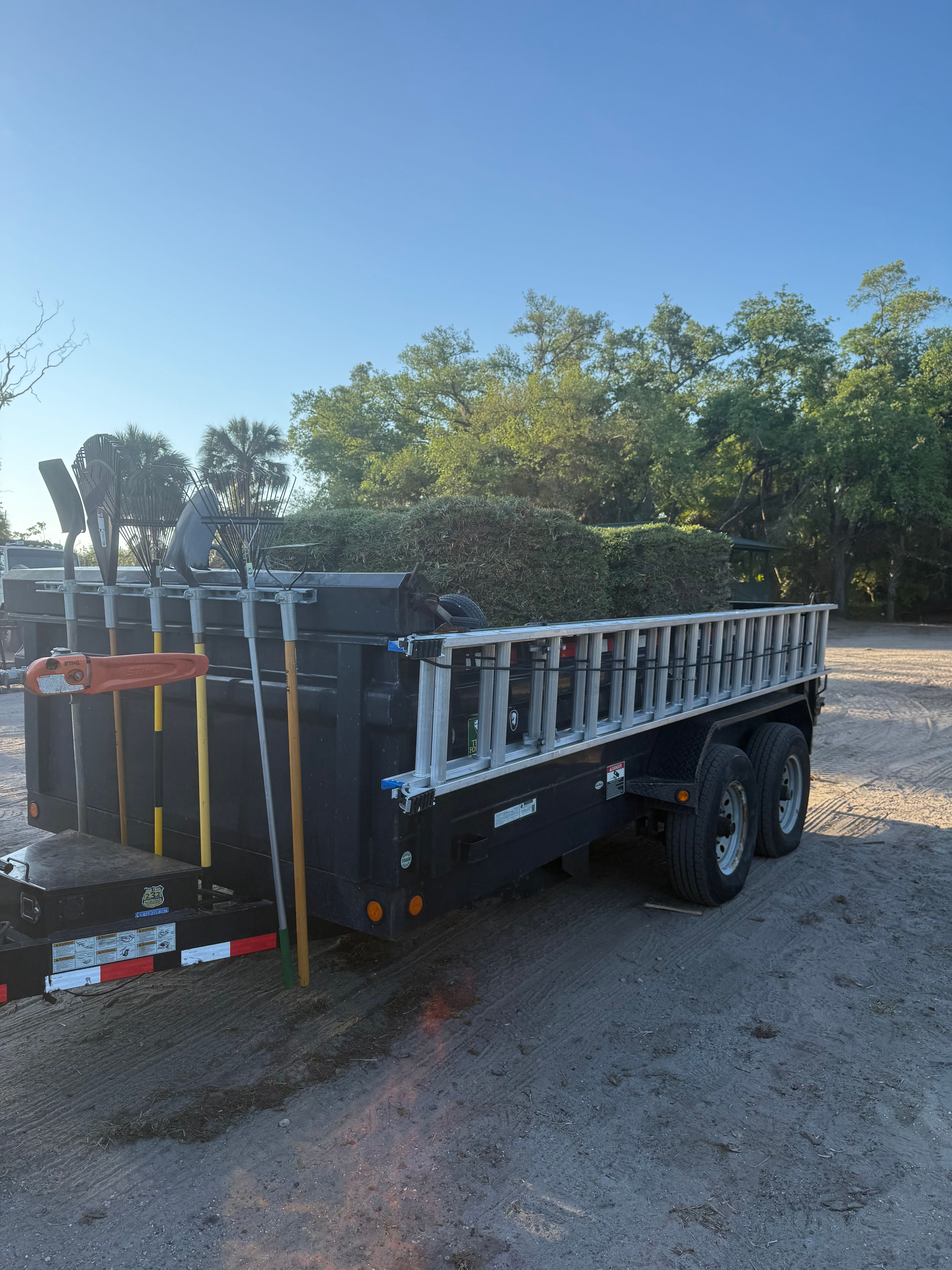  for Damian’s Tree Care in Sarasota, FL