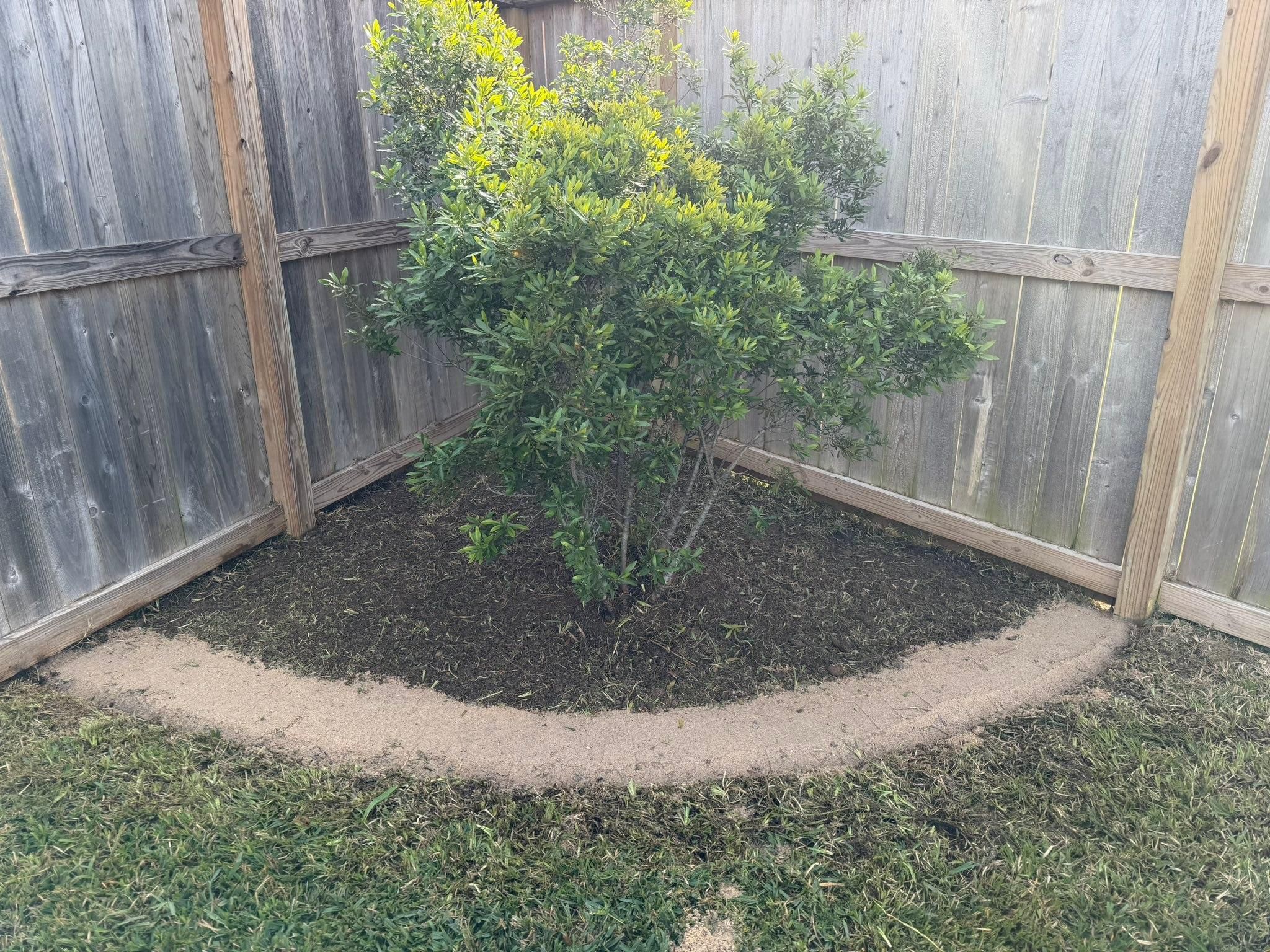  for Texas Curb N Borders in Houston, TX