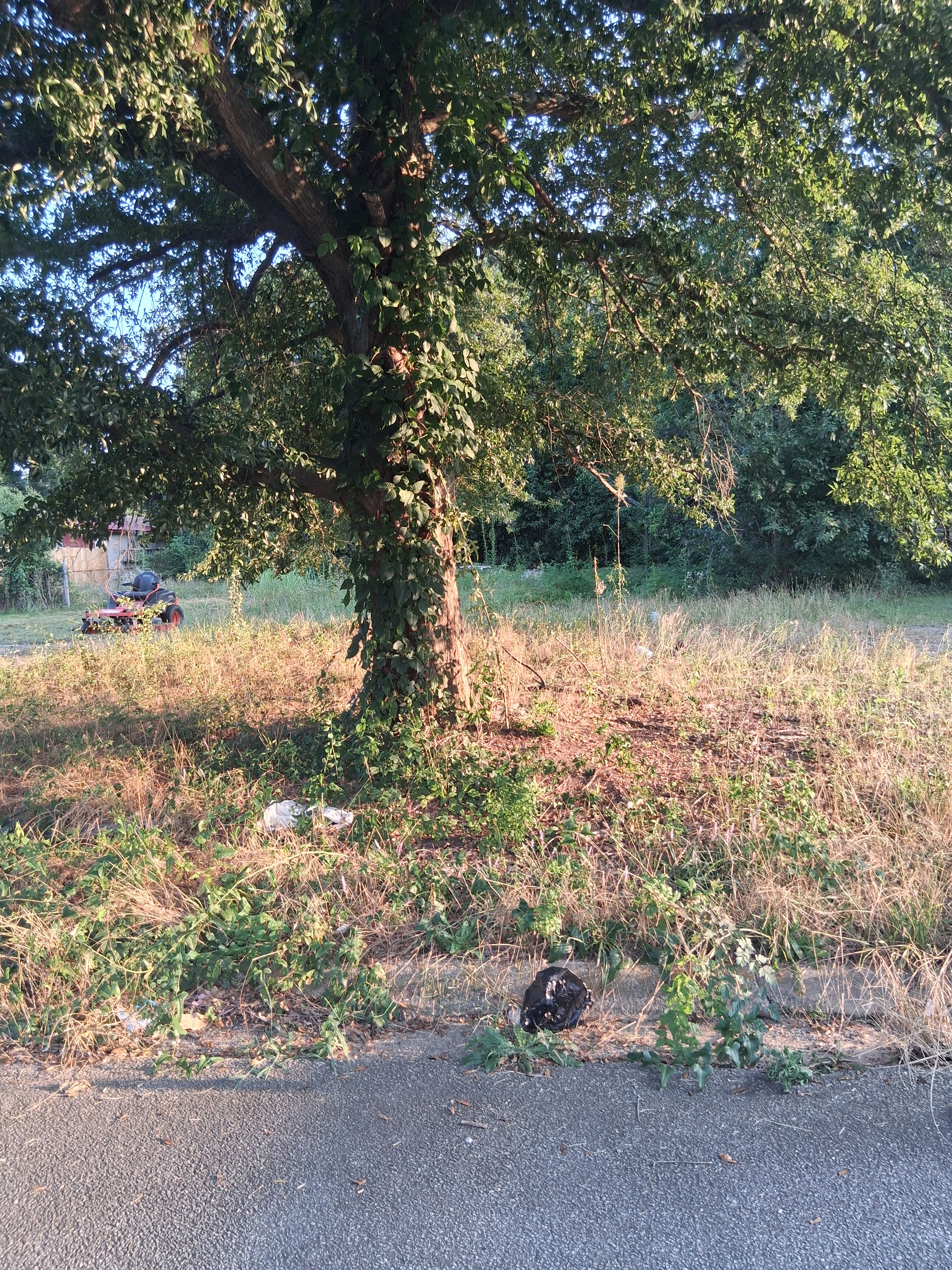  for Evan's Property Investments and More in Hephzibah, GA