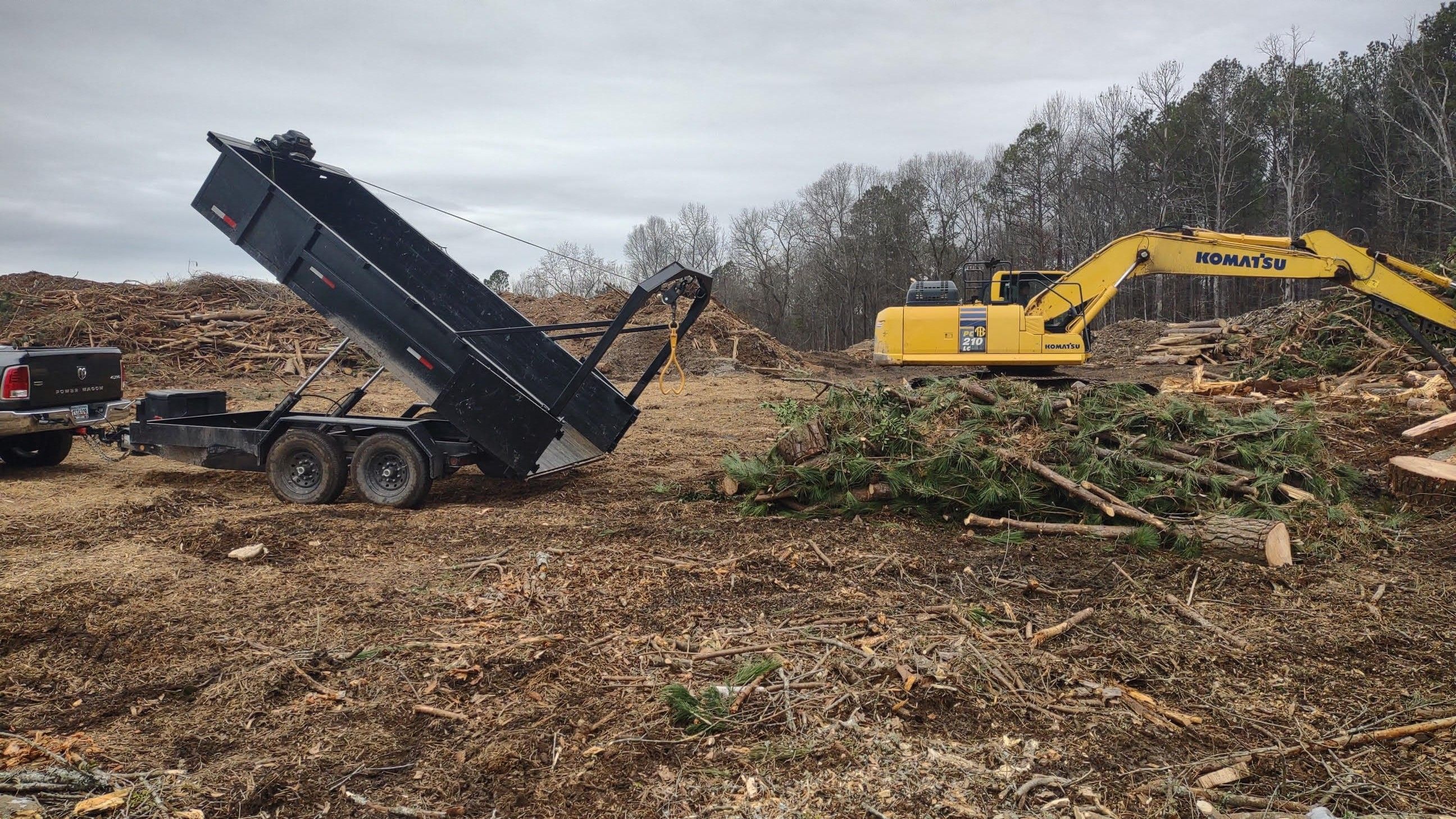 Tree Removal for Ross Property Service in Fayette County, GA