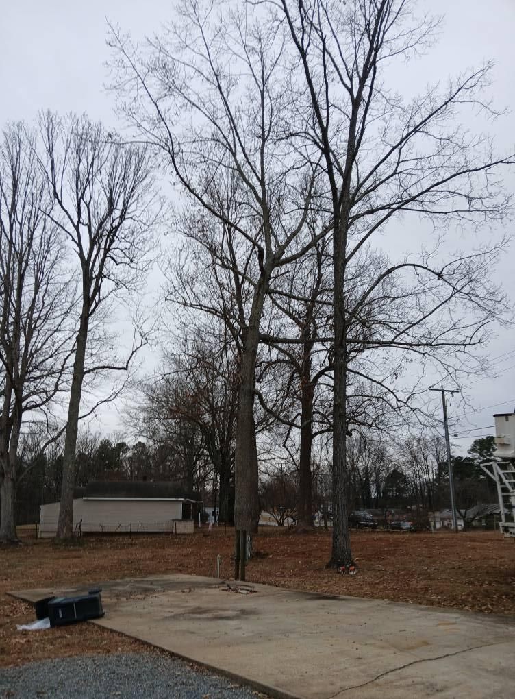  for Whiskey Ridge Mulching & Land Services in South Boston, VA