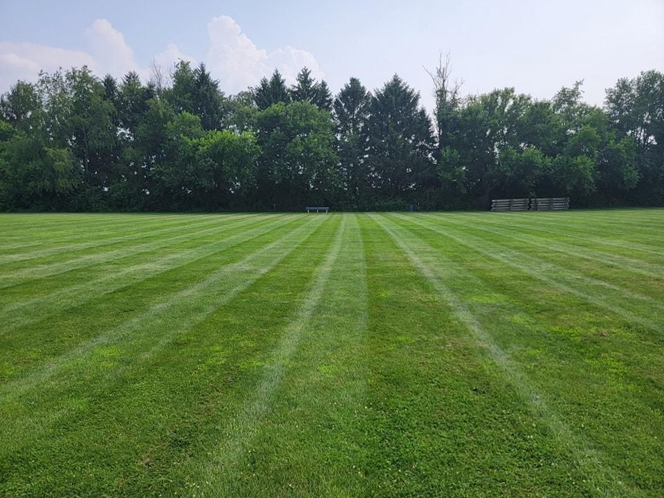 All Photos for Tingley's Green Land Services in Springfield, Ohio
