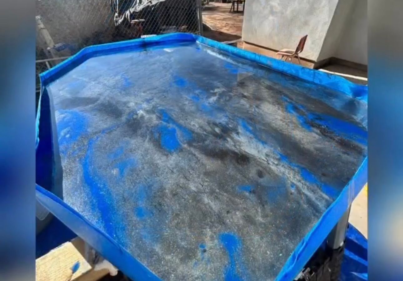  for Sandoval Coating in Phoenix, AZ