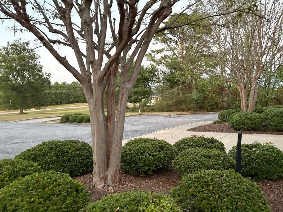  for Xtreme Landscaping & Lawn Care in Lincoln, AL