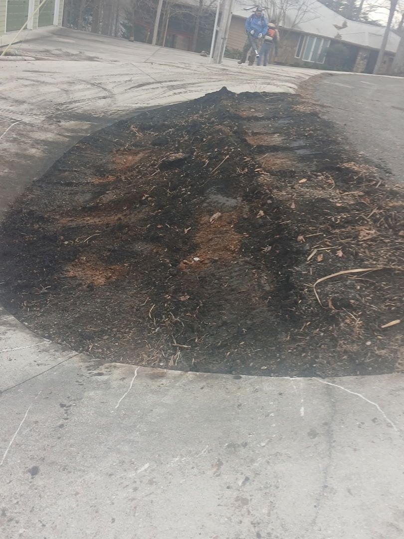  for Lafollette Mulch, Stone and Lawn Care in La Follette, TN