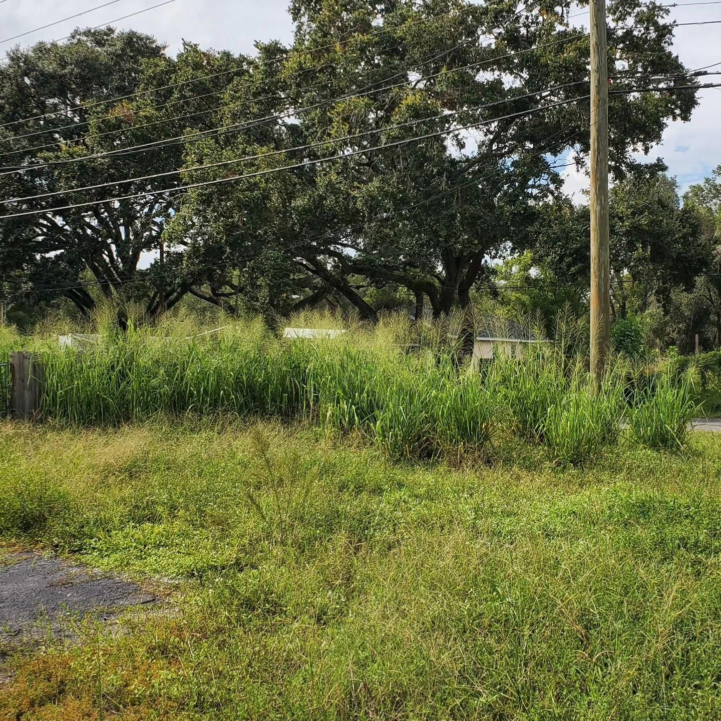  for 1 Friendly Lawn Service in Tampa, FL