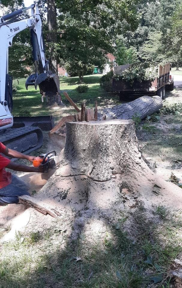  for Country Cutters Tree Service in Prince George, VA
