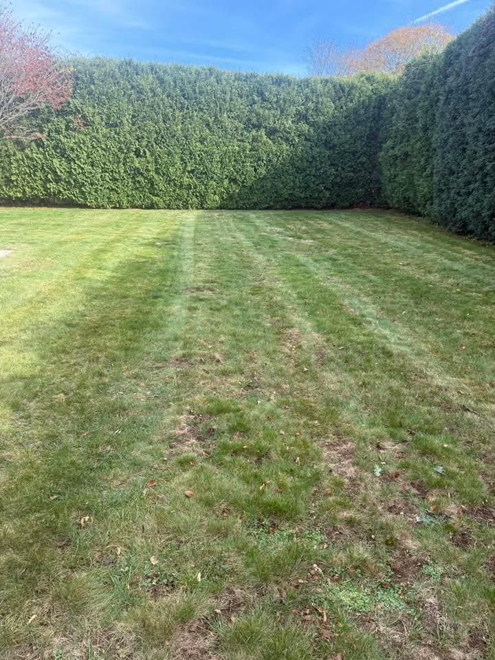  for Lucas Property Maintenance LLC in New Bedford, MA