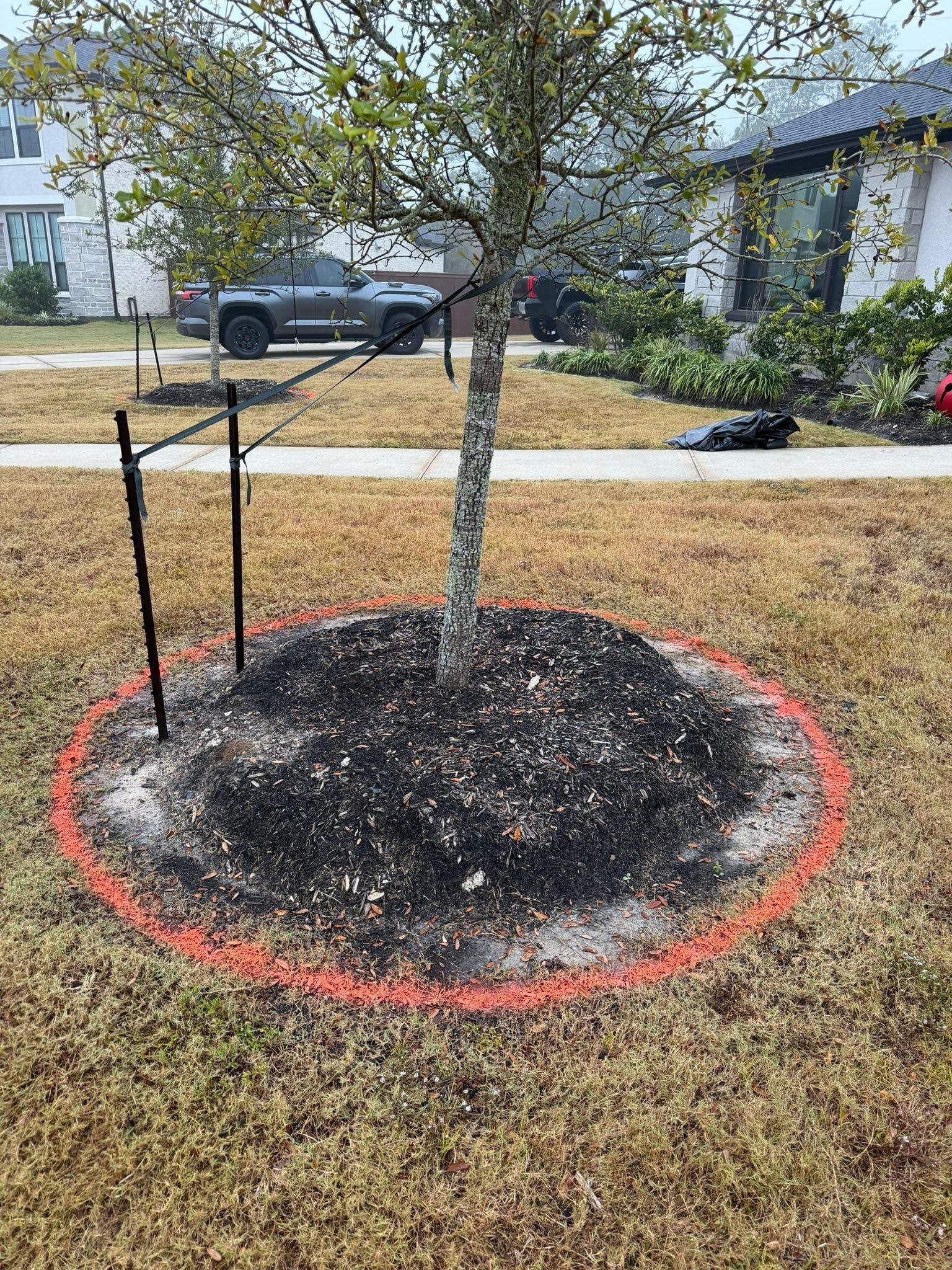  for Texas Curb N Borders in Houston, TX