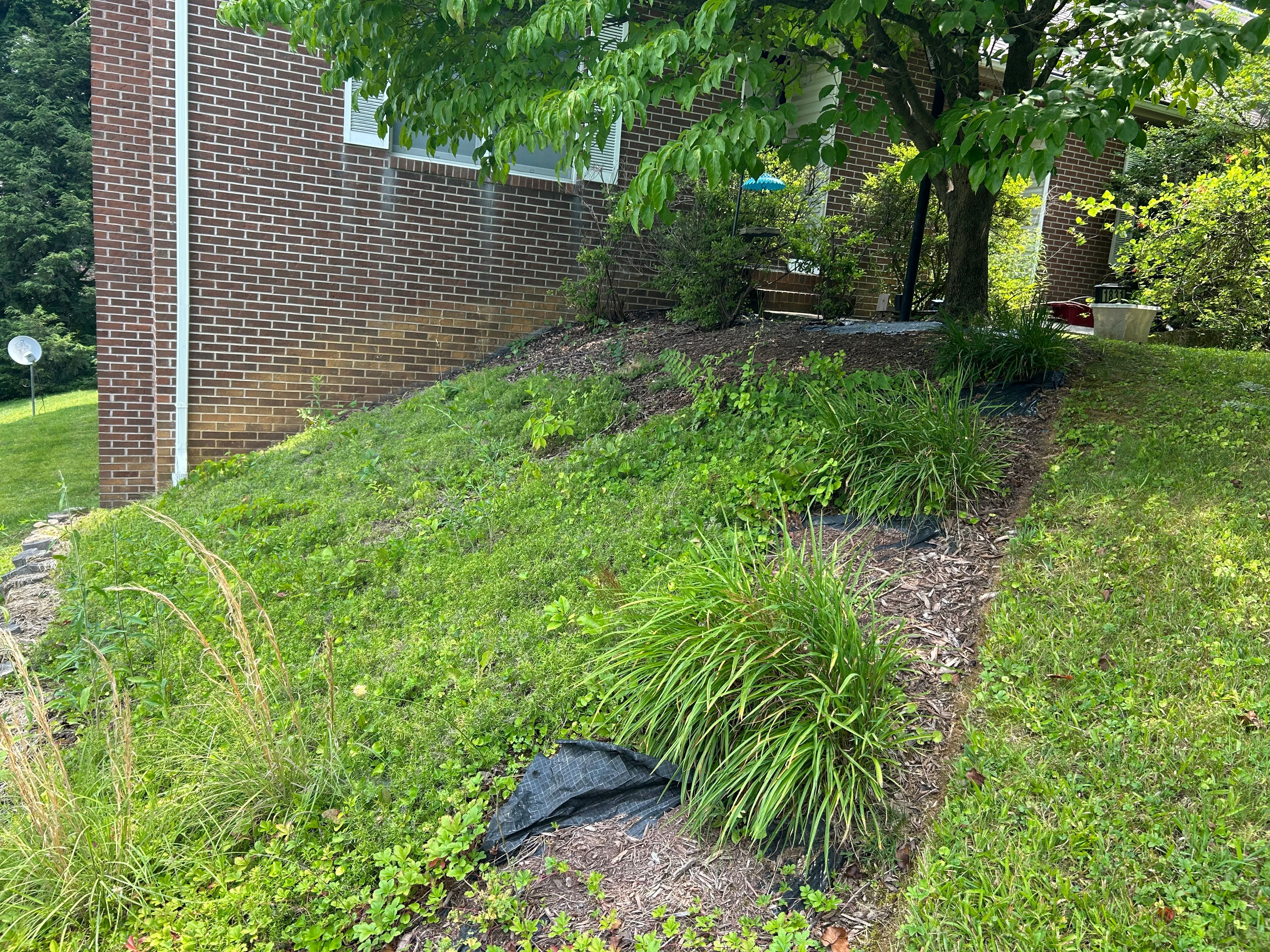 All Photos for Gatrell Landscape & Tree Removal in Bluff City, TN