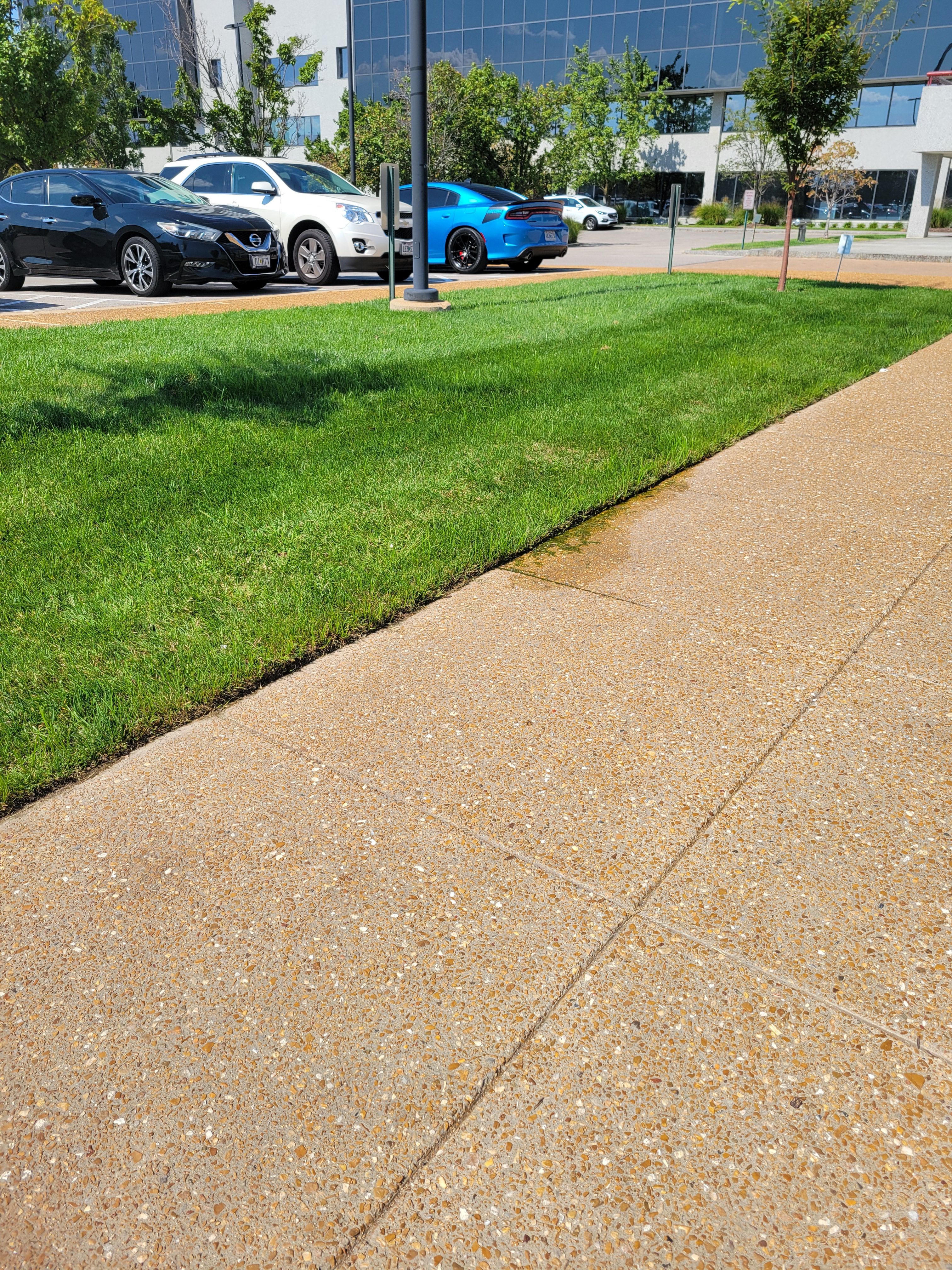  for Contemporary Landscape in St. Louis, MO