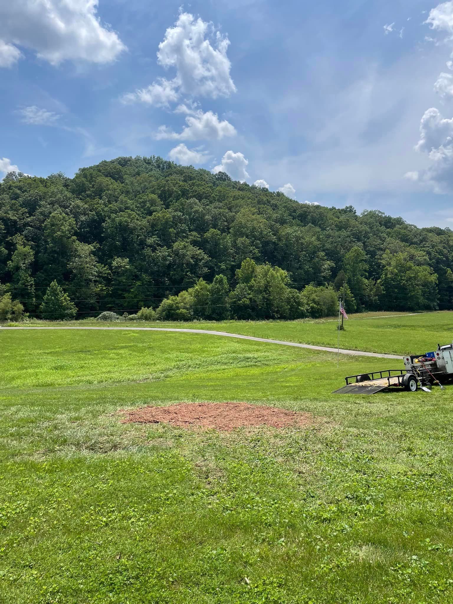 Other Services for Atwood’s Tree Care in Liberty,  KY