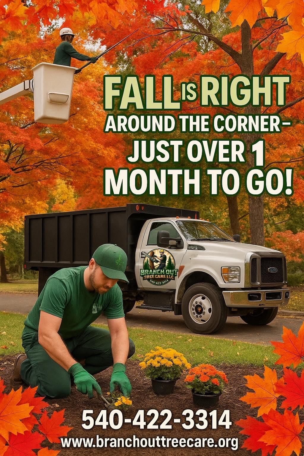  for Branch Out Tree Care LLC in Fredericksburg, VA