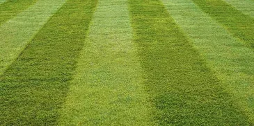  for Gulf-Tex Lawn Care in Baytown, TX