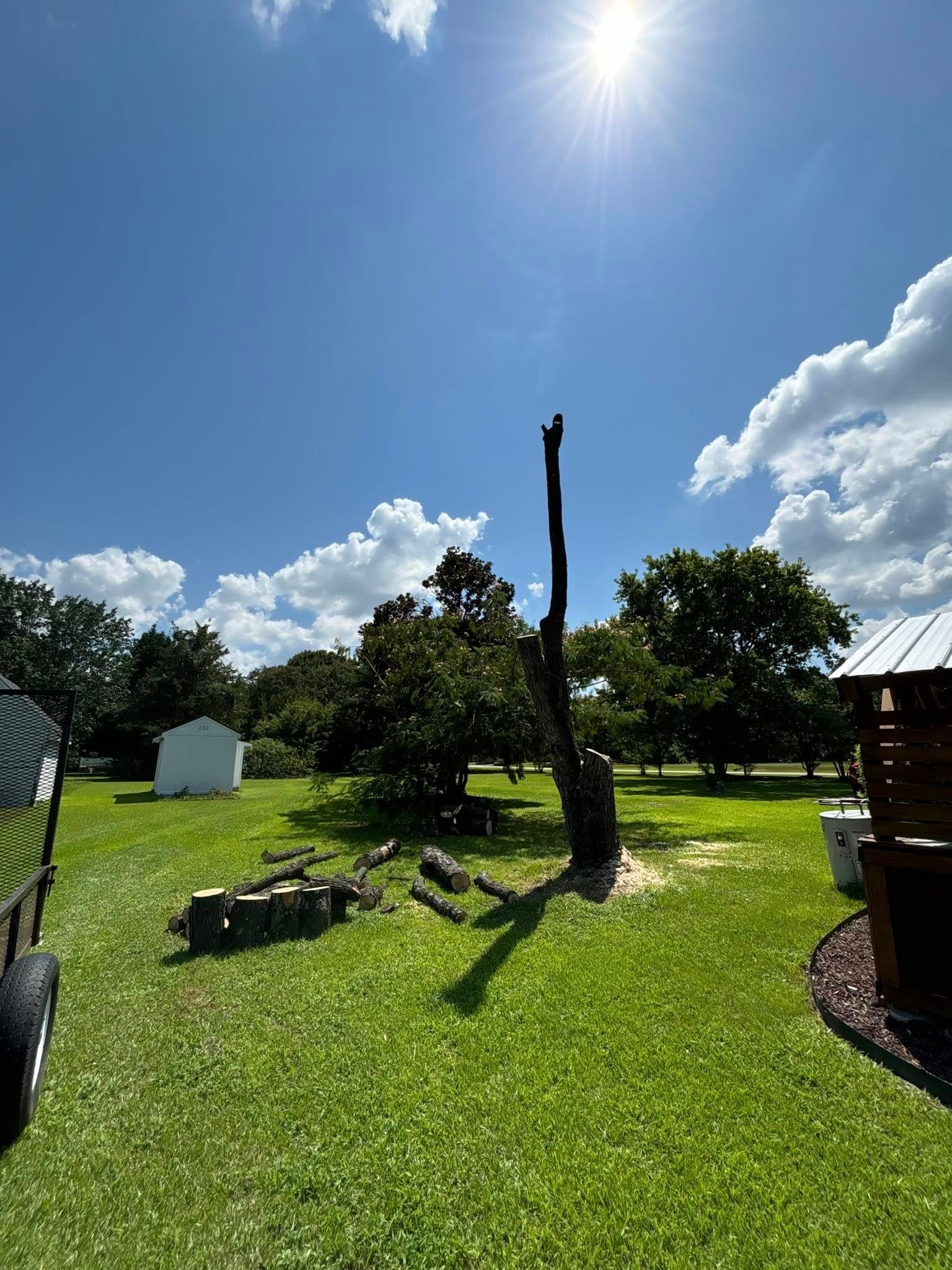  for Total Tree Care in Erwin, North Carolina