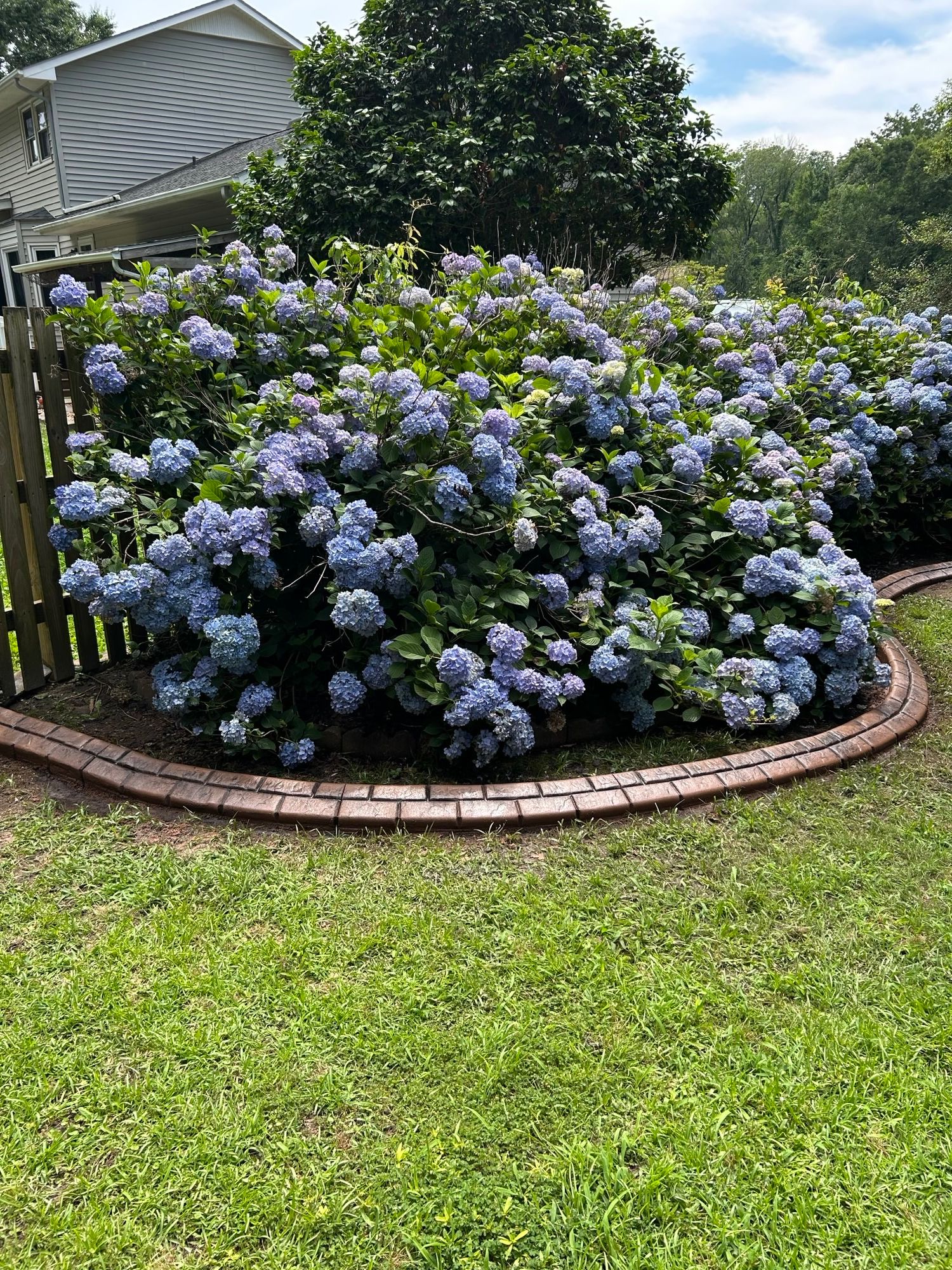  for Professional Edge in Deep Run, NC