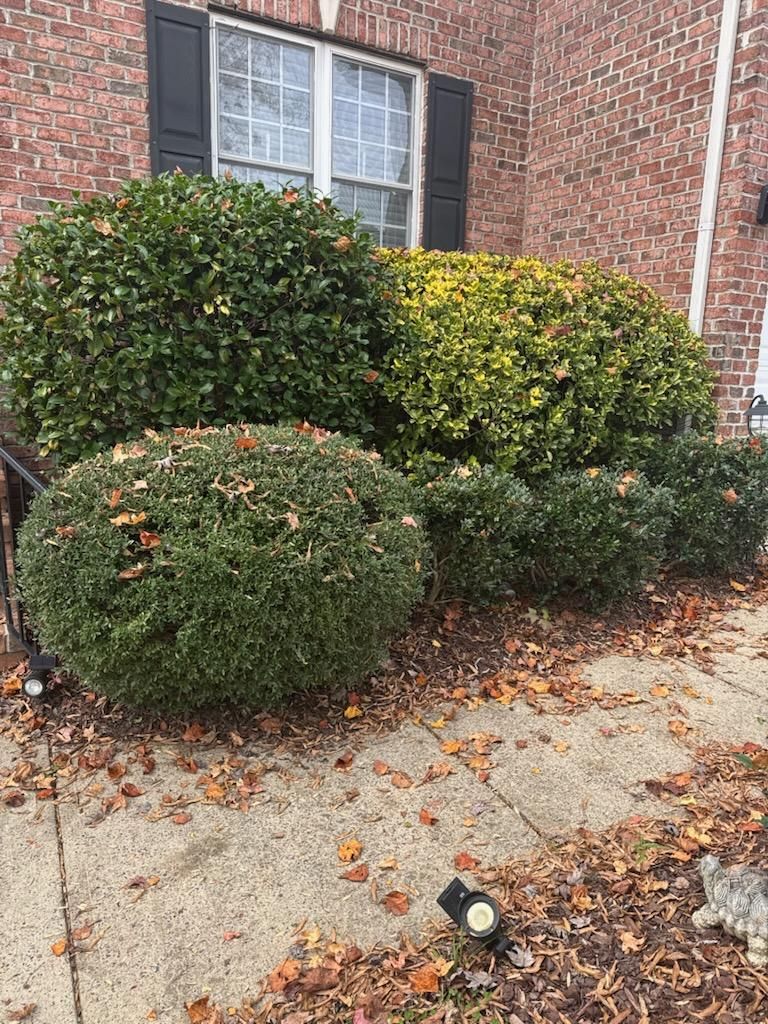  for Under Pressure: Pressure Washing Service in Raleigh, NC