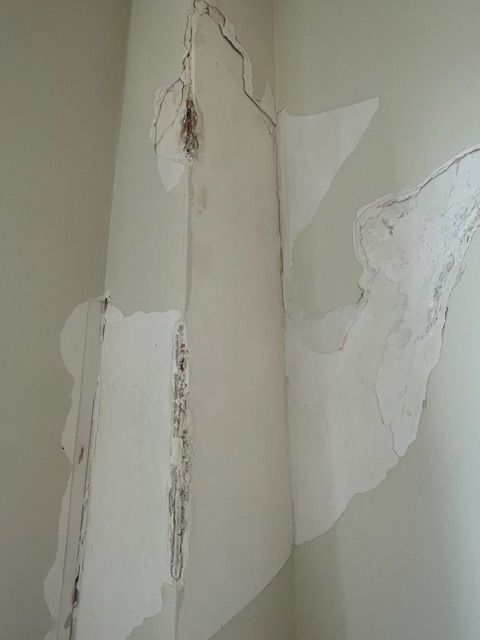 All Photos for Michael J Mahoney Painting & Wallpapering in New York Area , NY