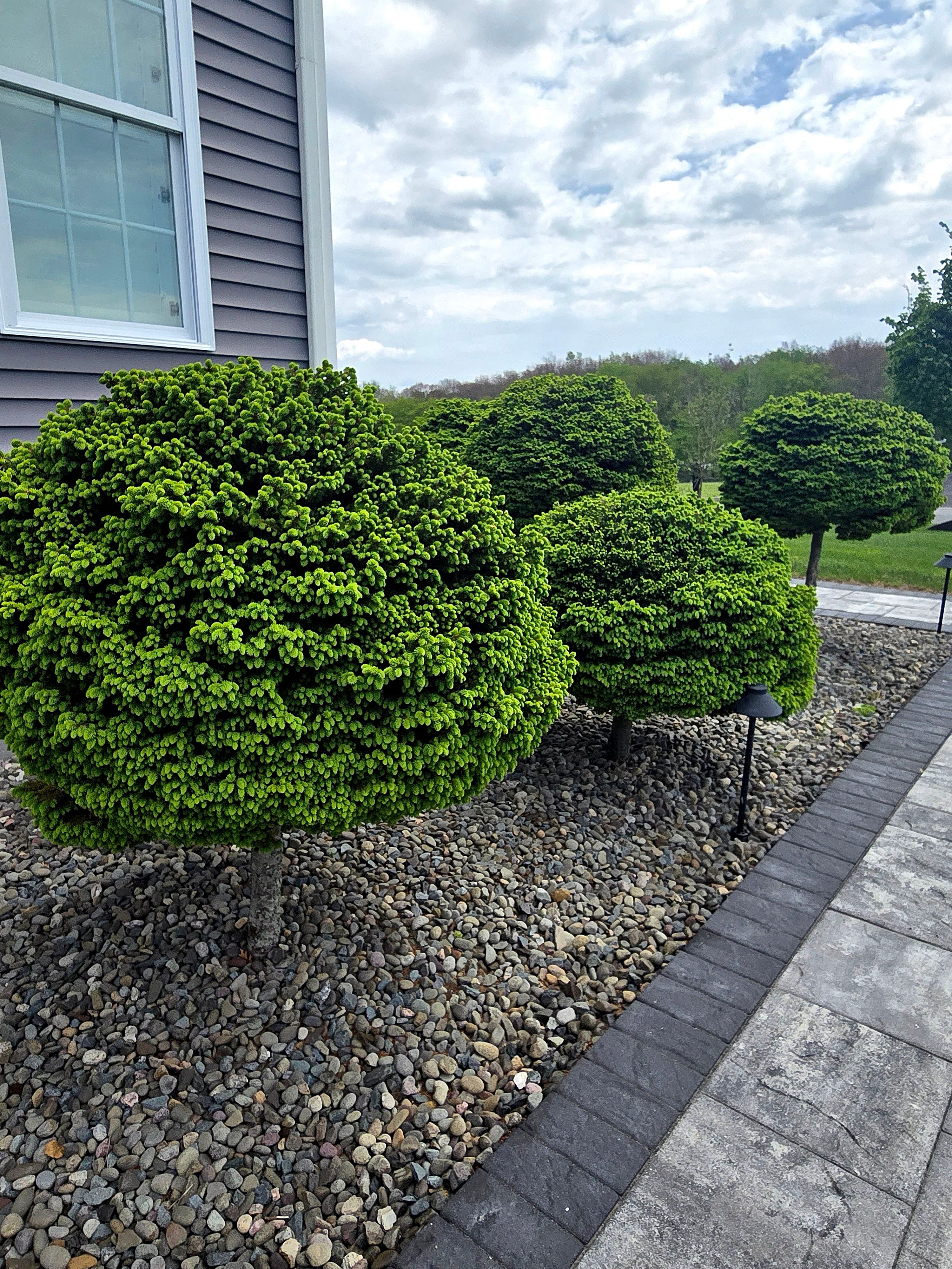  for Tony Monaco Landscaping Inc. in Orange County, NY
