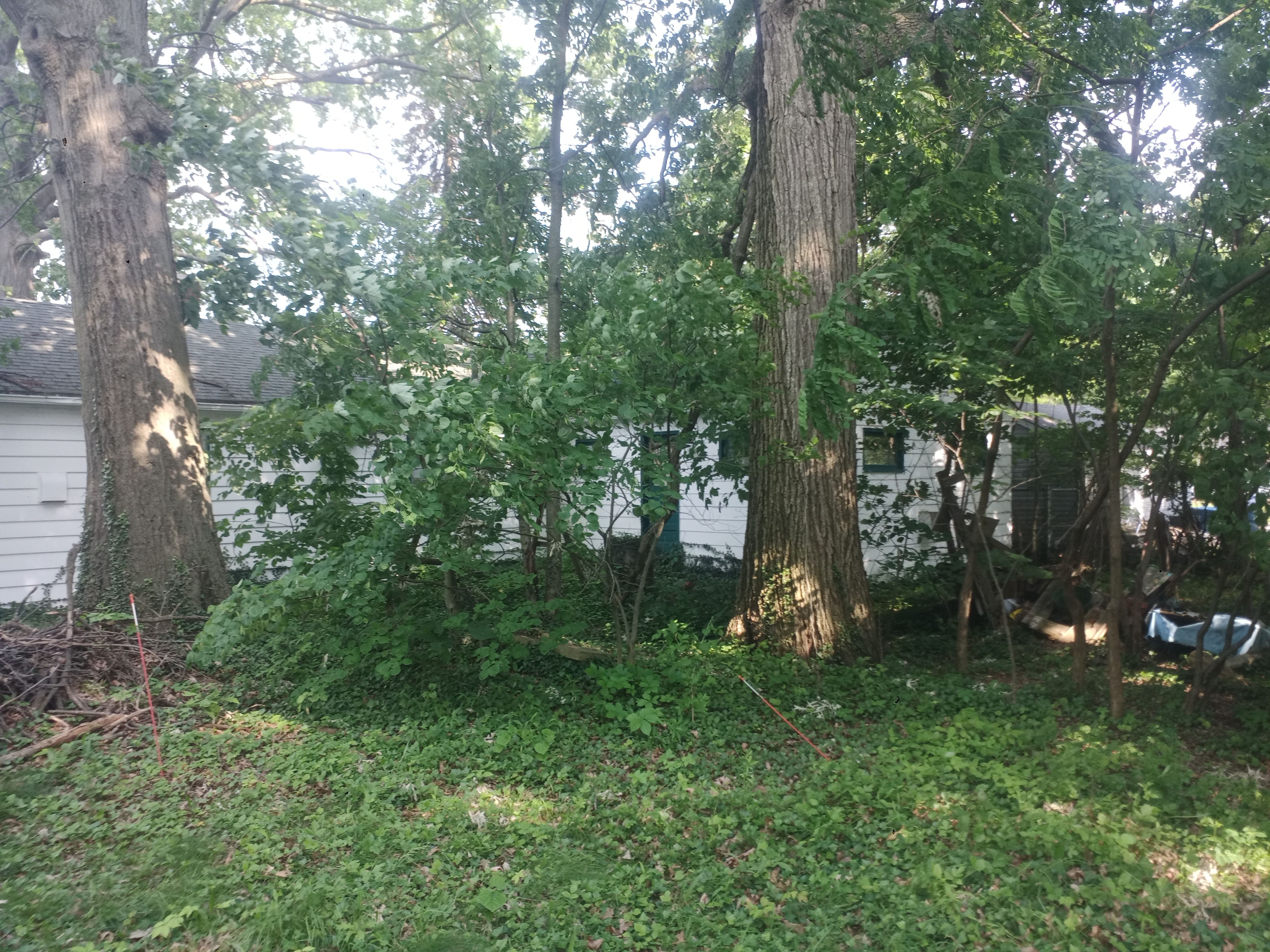 All Photos for Hendricks Mowing in Amherst, OH