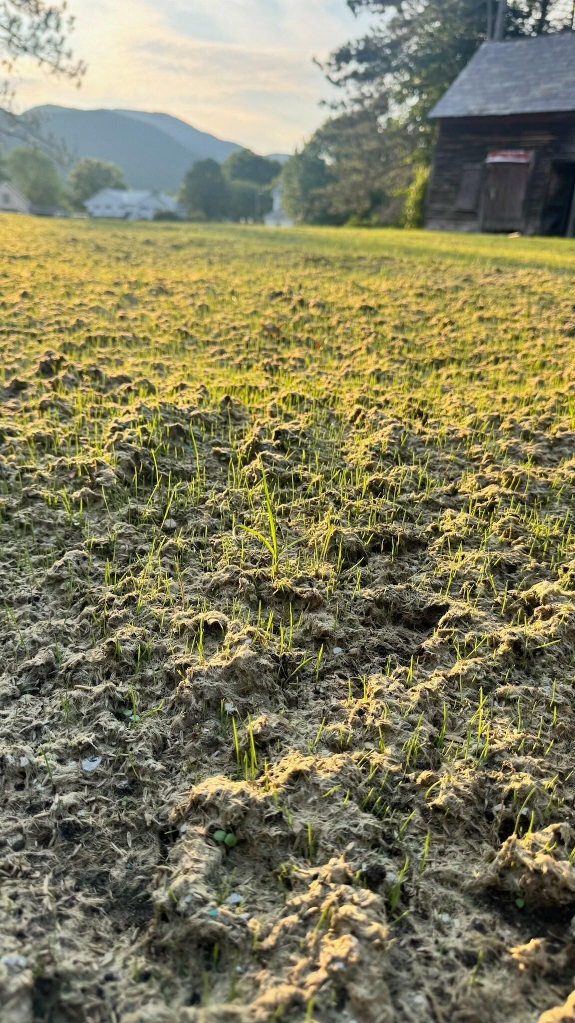  for Levi Allen Lawn Care in Rutland County, VT