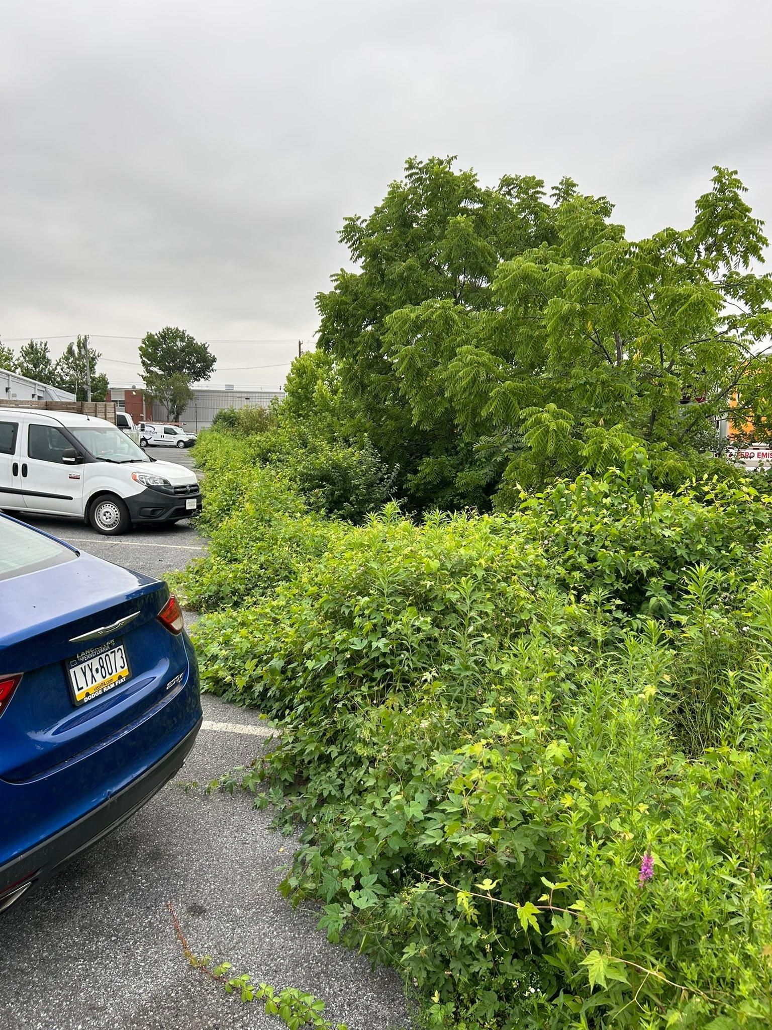  for Eric's Property Service in Conestoga, PA