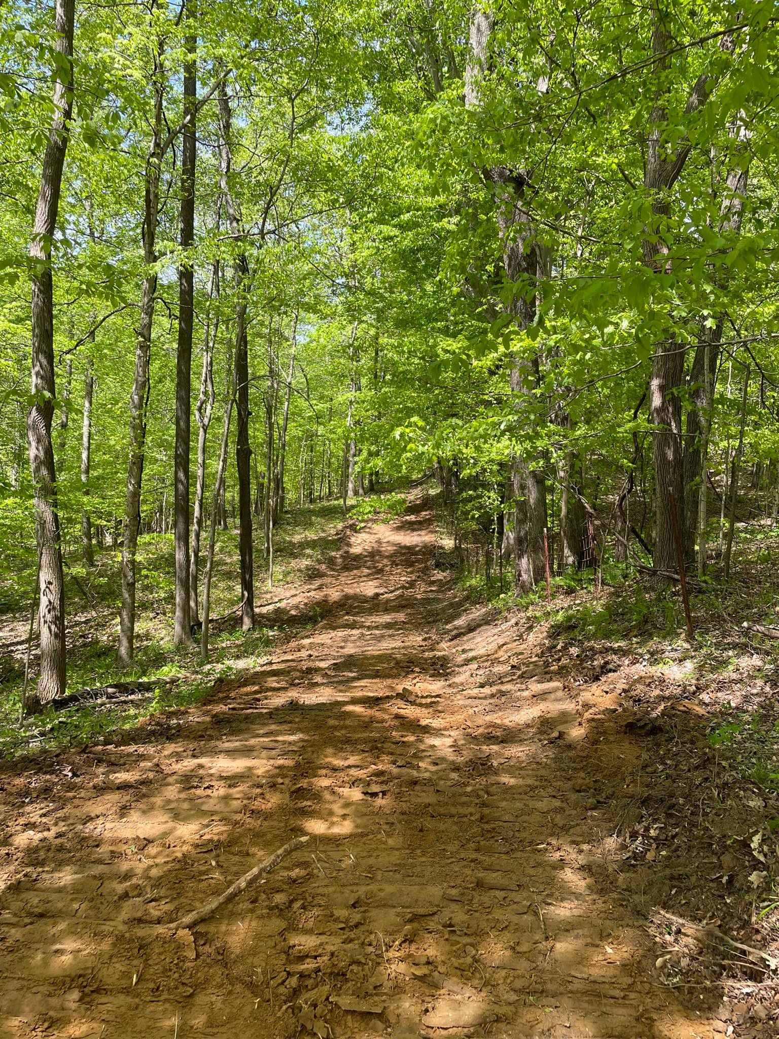 Excavating for Beaver Excavating Services in Friendship, TN