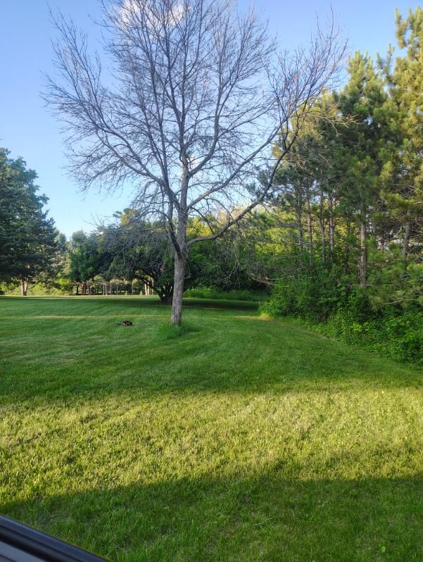 All Photos for Big River lawn Care services and snow LLC in Wausau, WI