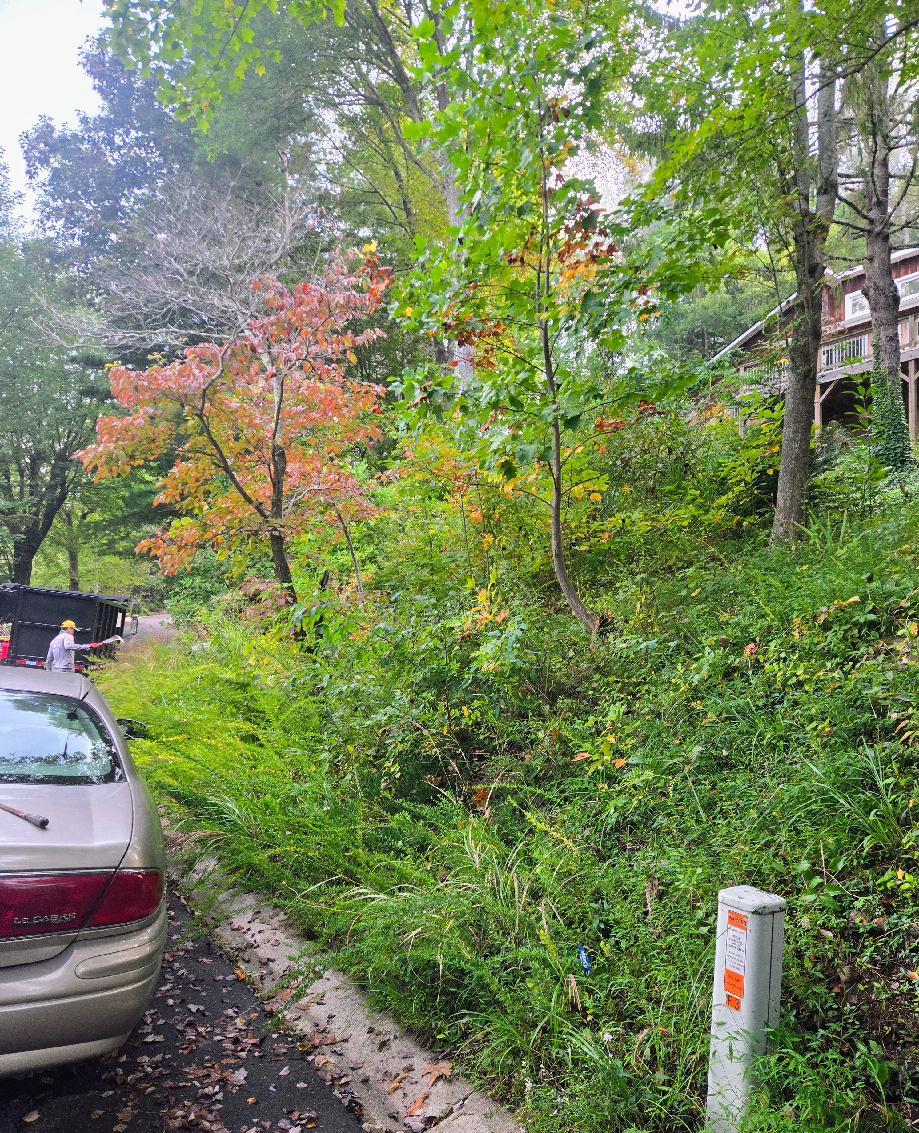  for C4 TrueVision Renovations in Asheville, NC