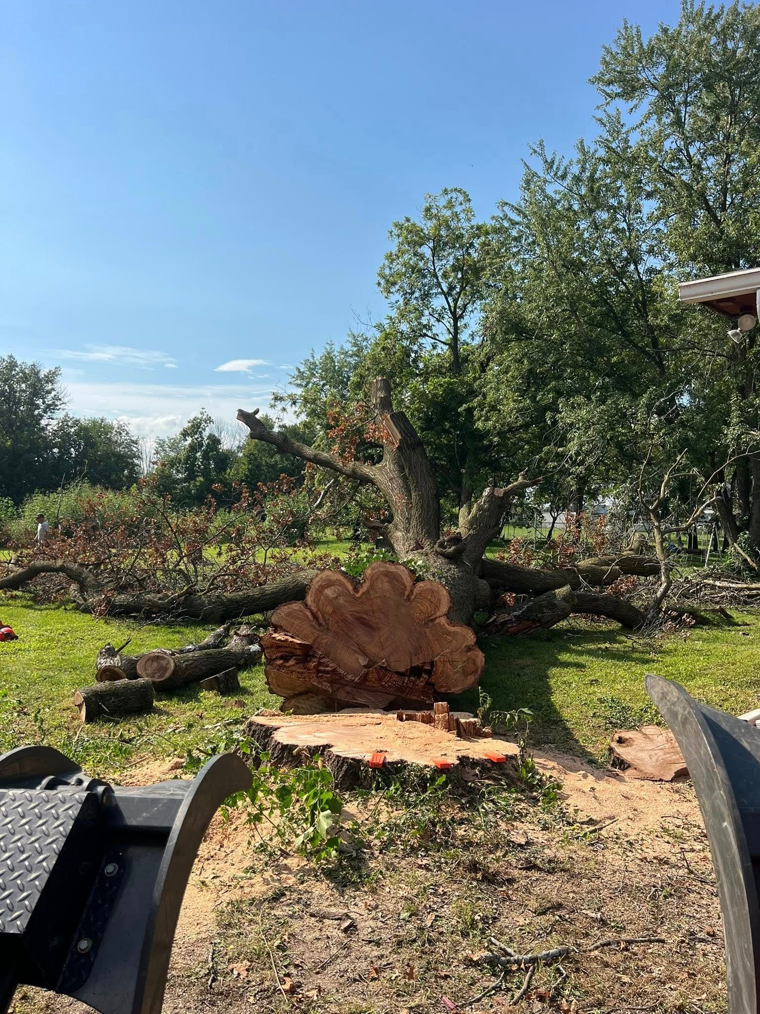 Tree Removal for Baker Professional Services LLC in Shelbina, MO
