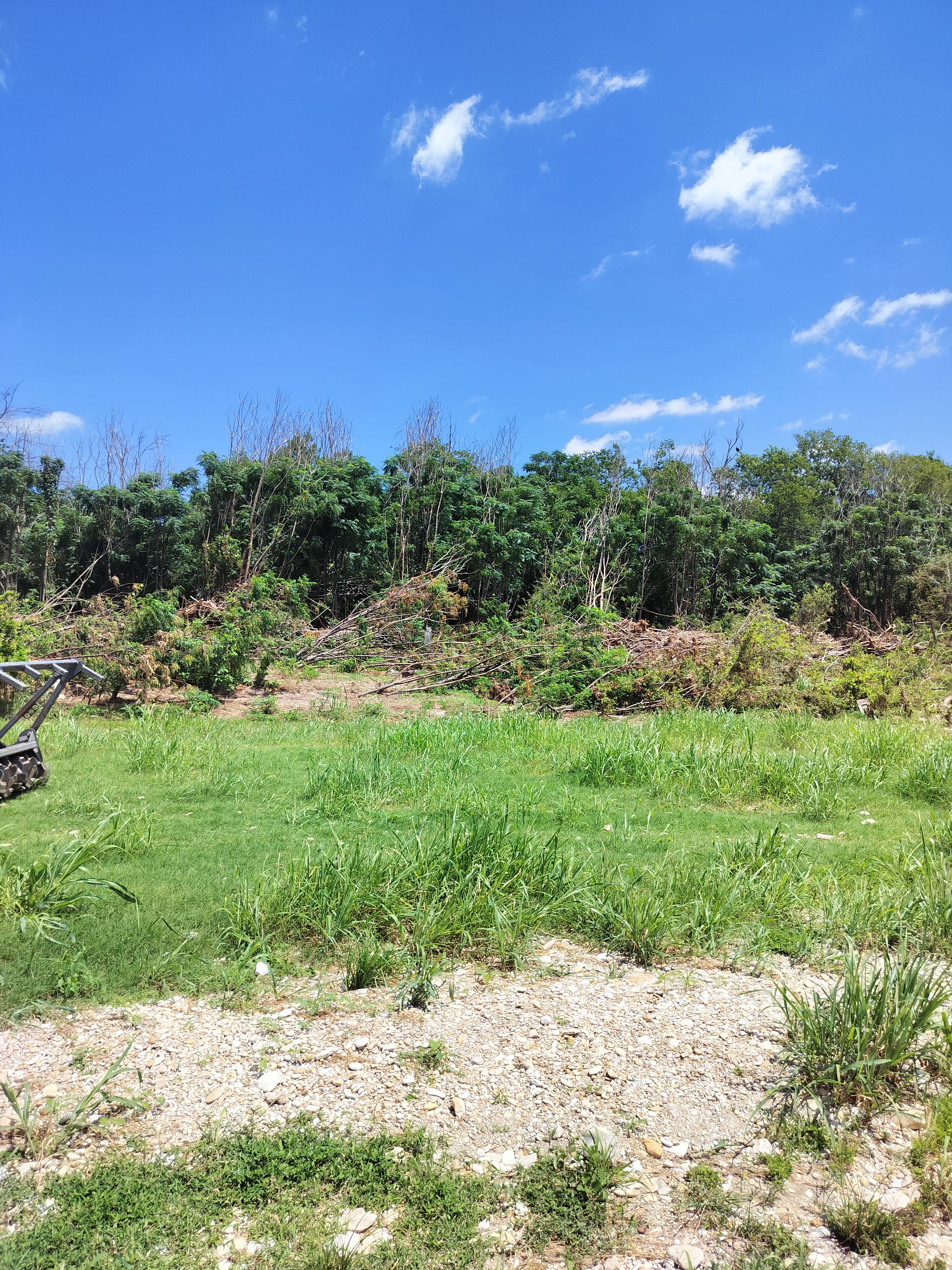  for 512 Land Clearing in Blanco County, TX