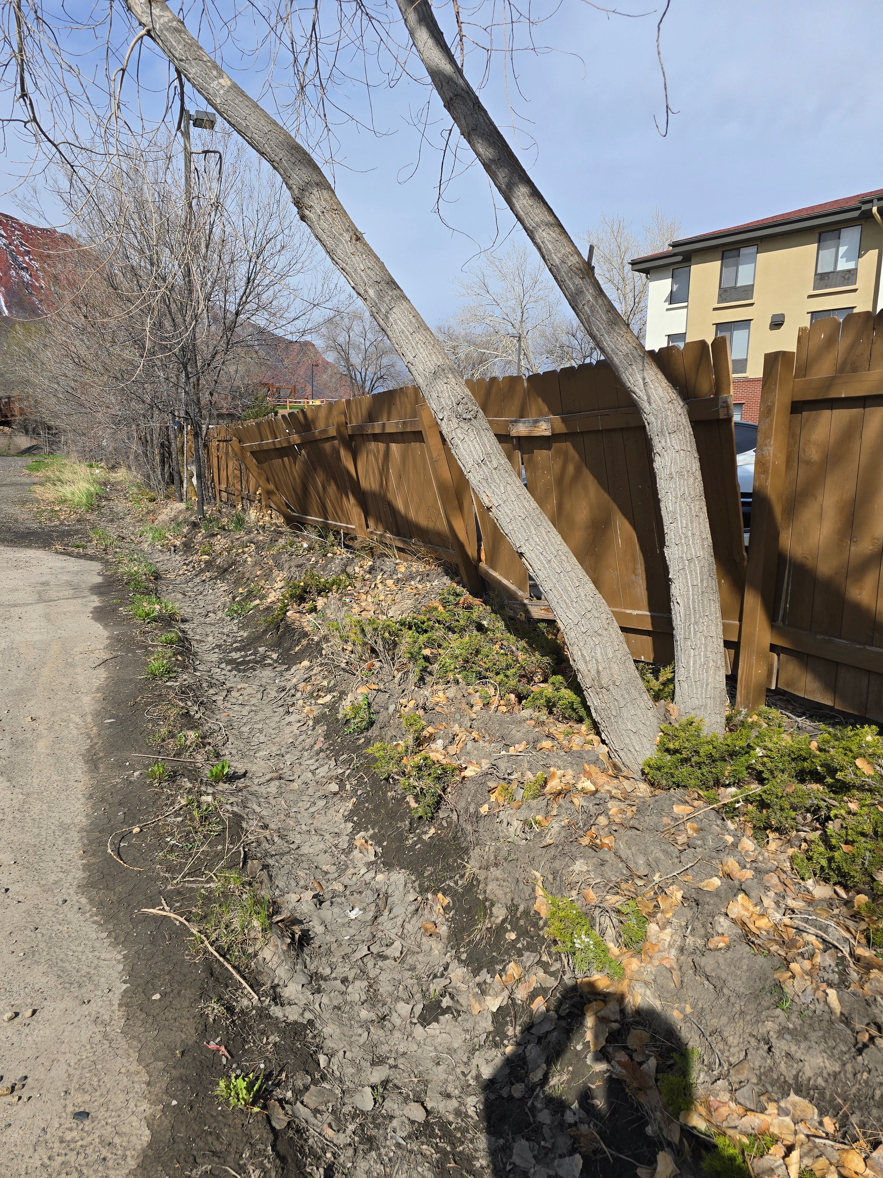 All Photos for LRS: Landscape, Rescue, Snow in Silt, CO