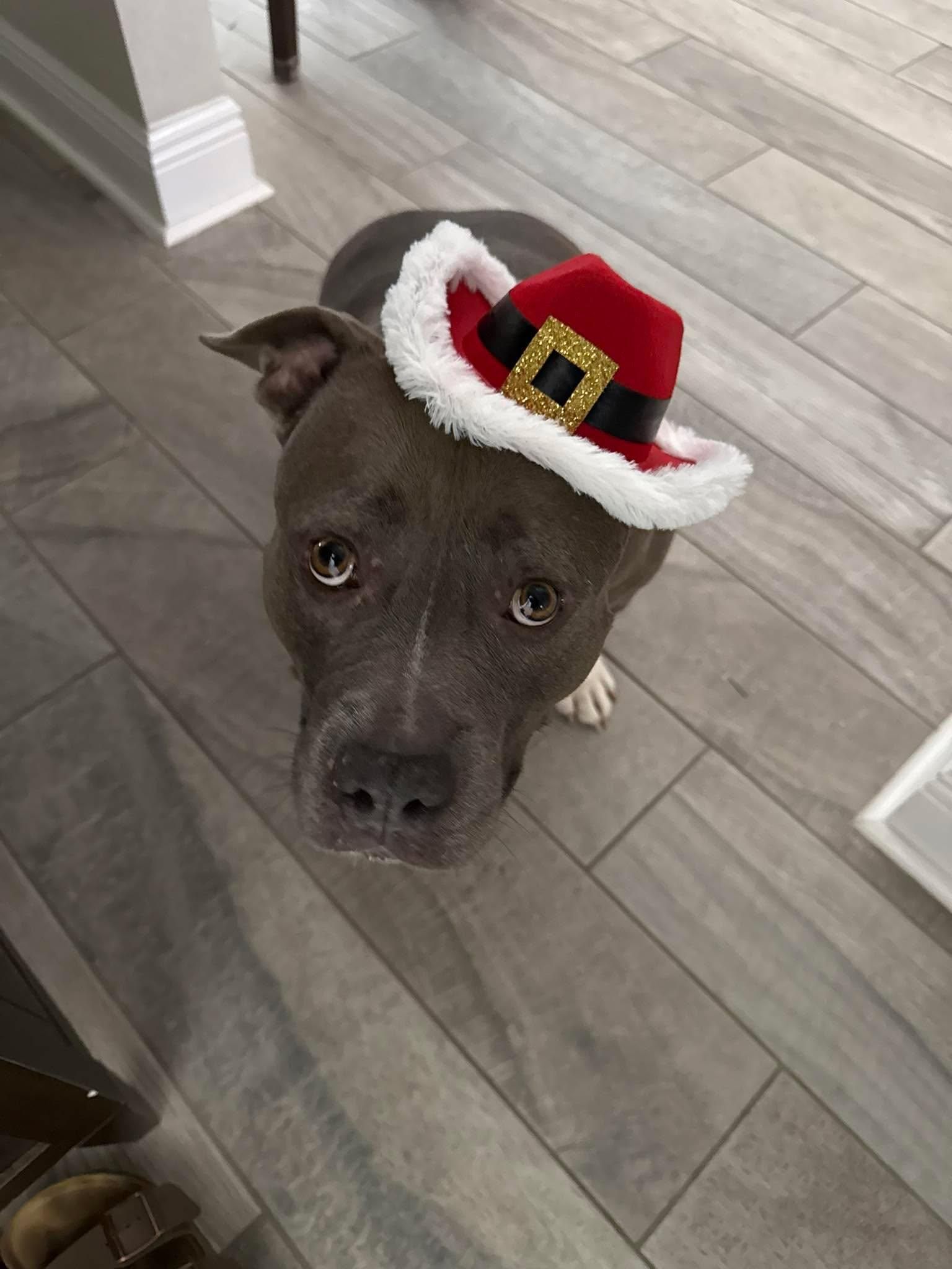  for Reef Runner Remodeling & Repair in Gulf Breeze, FL