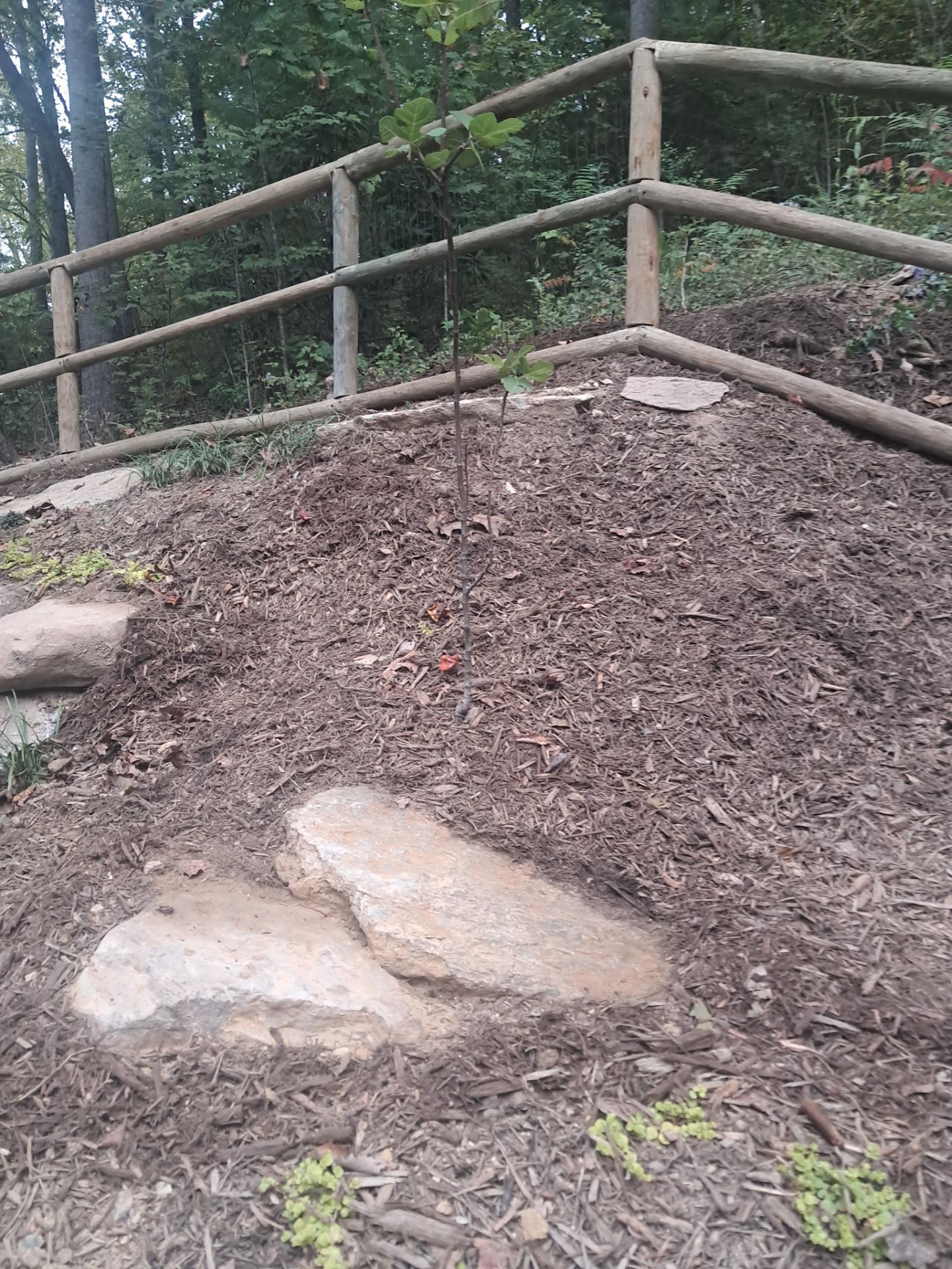  for Rescue Grading & Landscaping in Marietta, SC