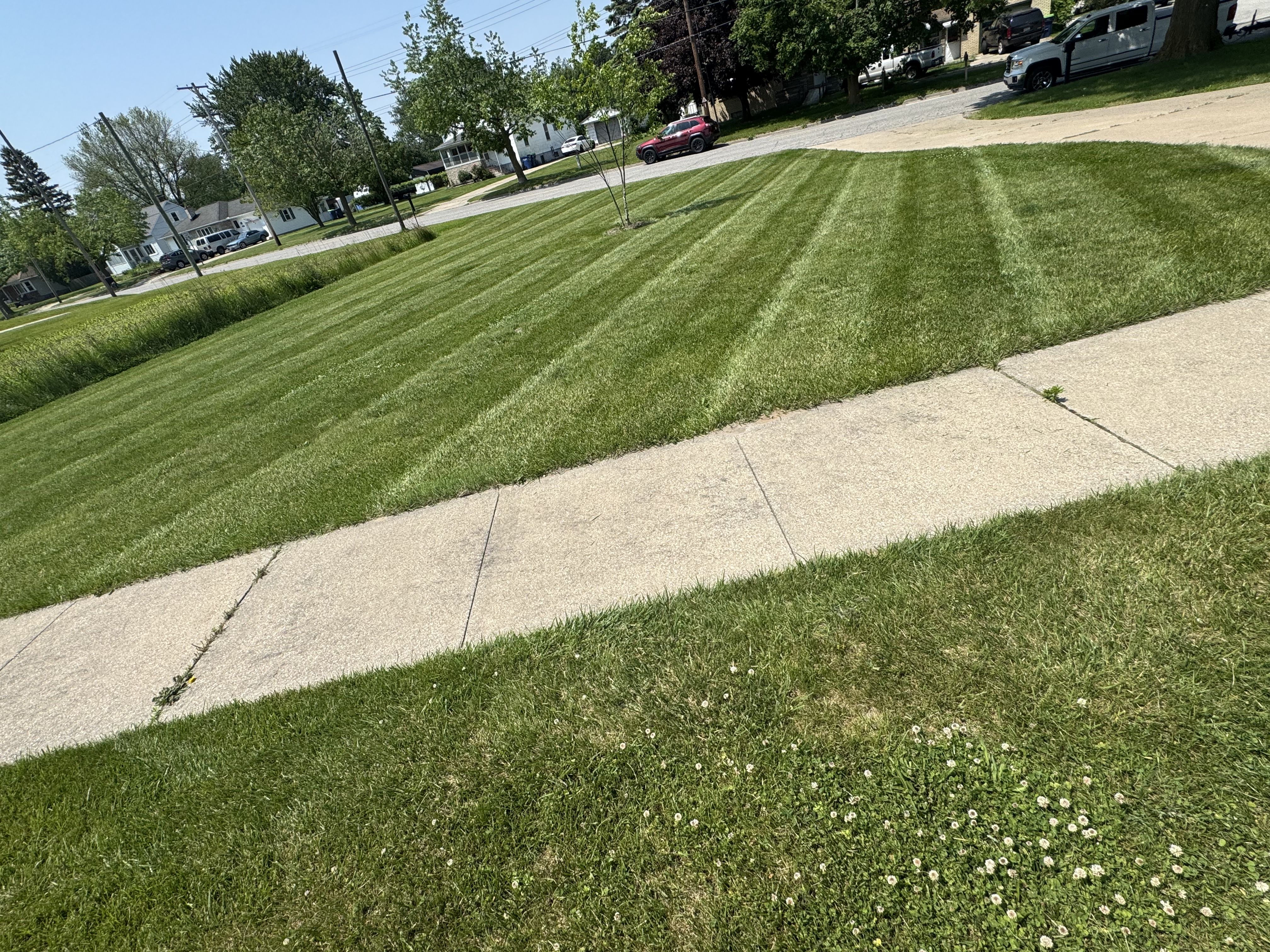  for Daugherty's Tough Lawn Care in Essexville, MI