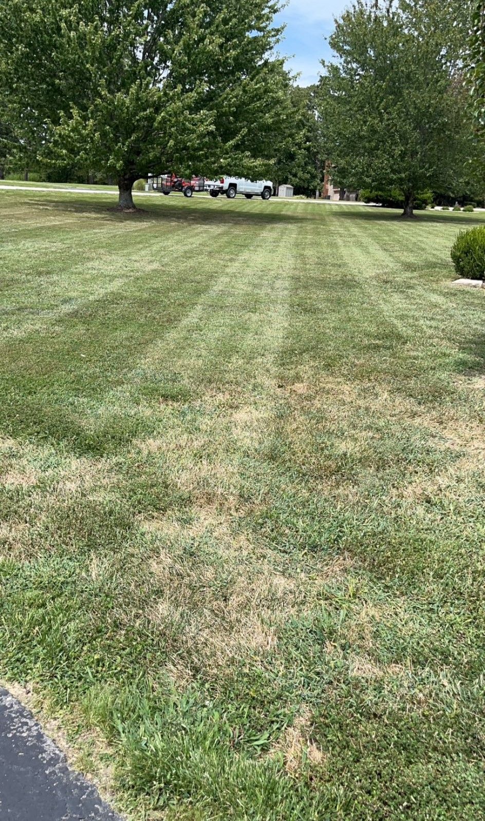 Lawn Care for Wright Lawn Services in Ozark, MO