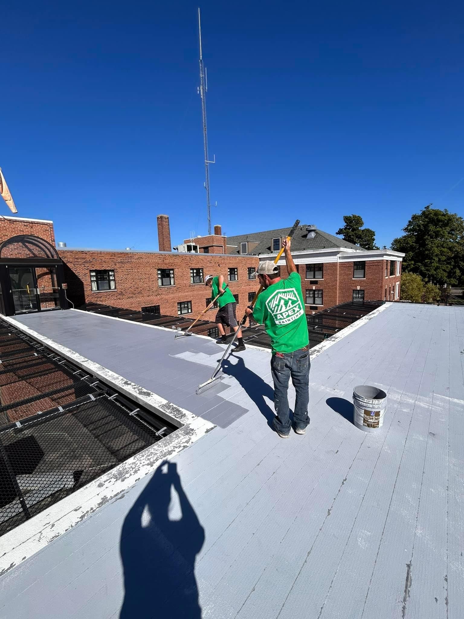  for Apex Painting in Livonia, MI