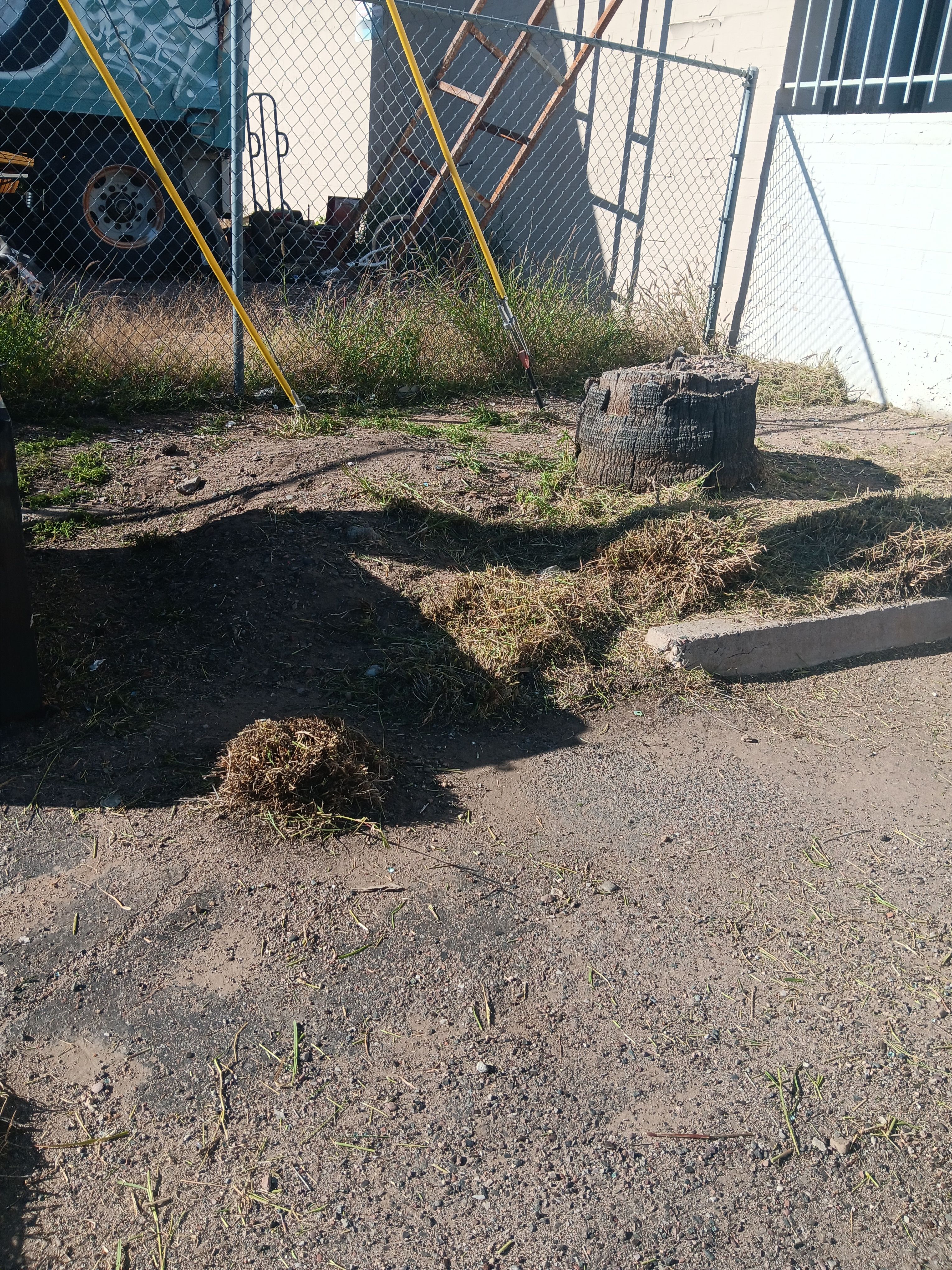  for Family Landscaping in Phoenix, AZ