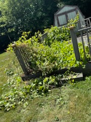 All Photos for Daugherty's Tough Lawn Care in Essexville, MI