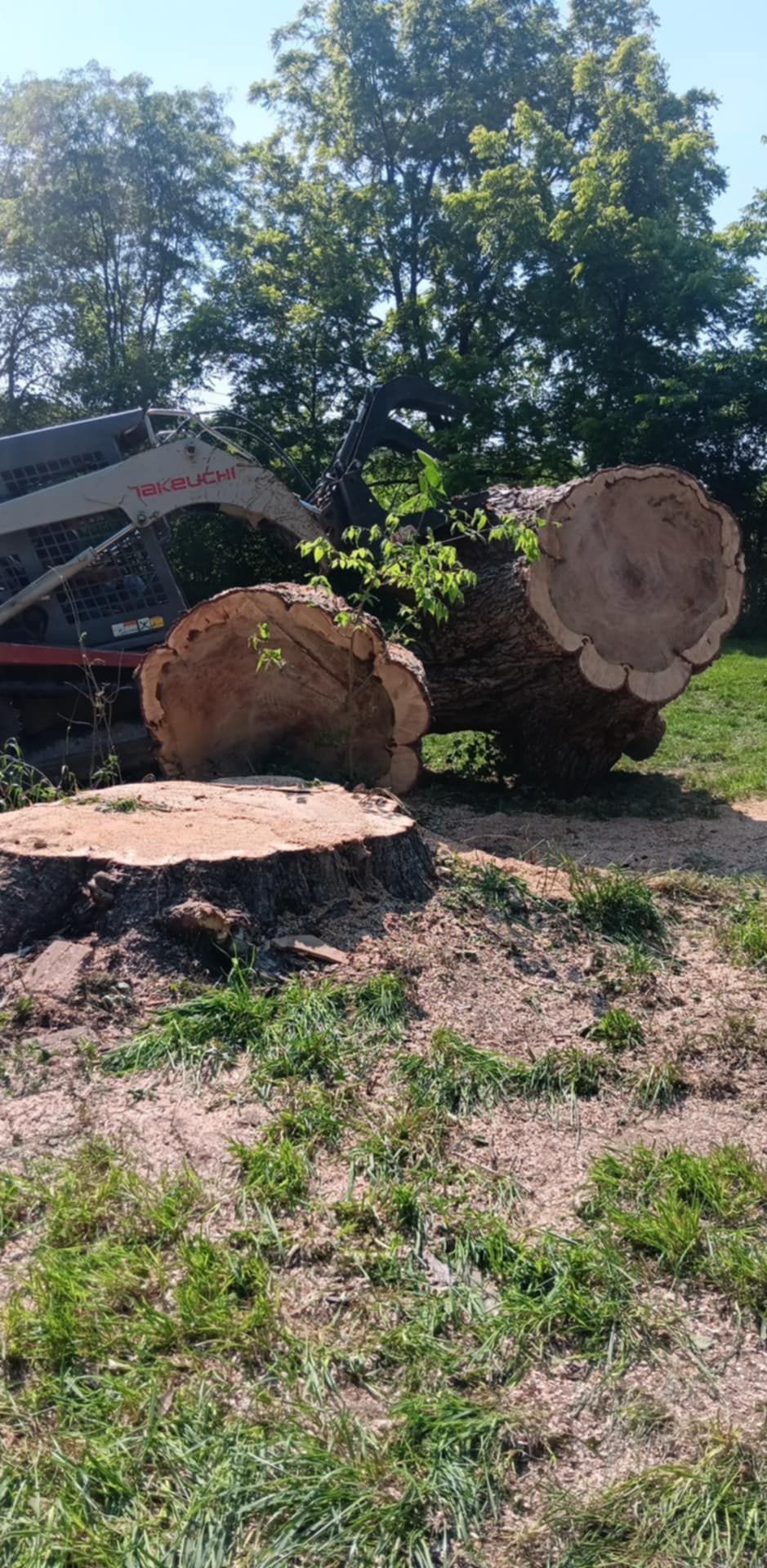  for Lawn Ranger Yard And Tree Service LLC in Ottumwa, IA